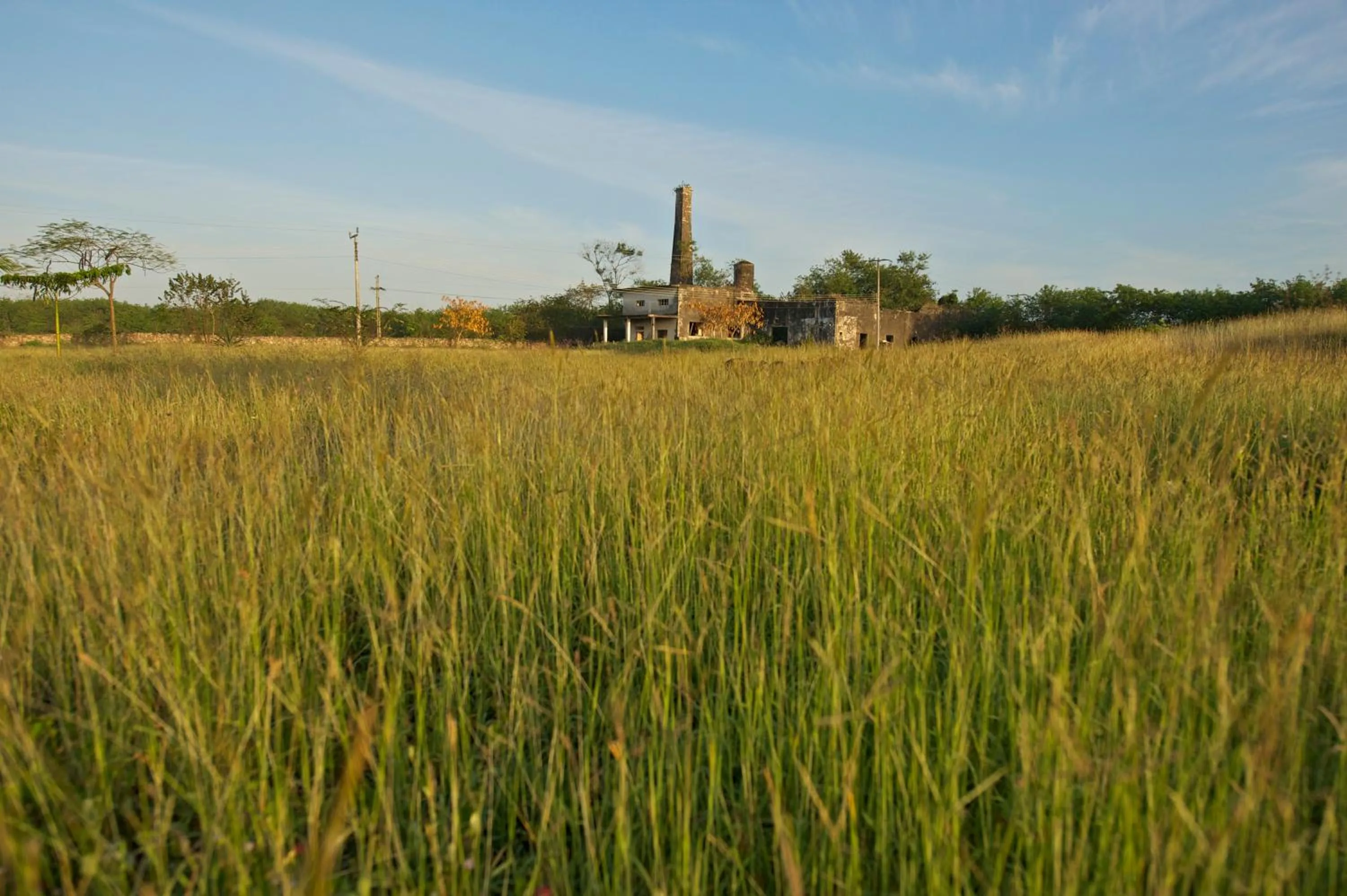 Natural landscape in Hacienda Sacnicte