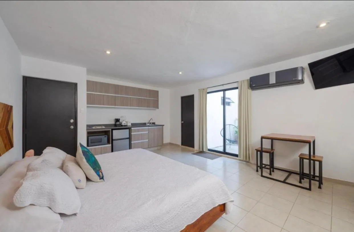 Stay tropical downtown studios