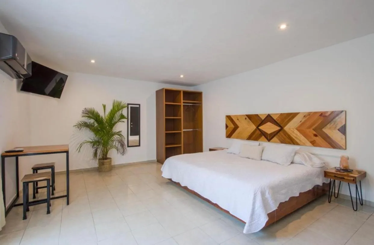 Stay tropical downtown studios