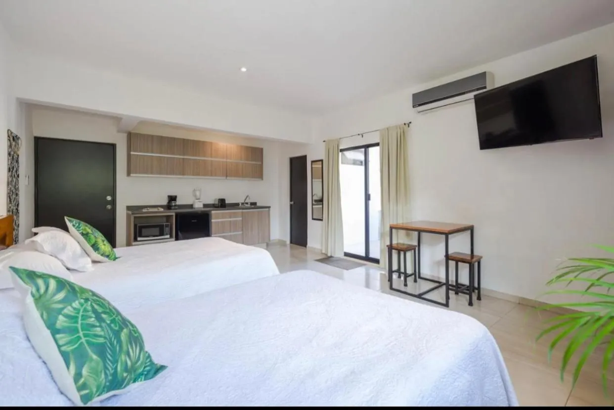 Stay tropical downtown studios