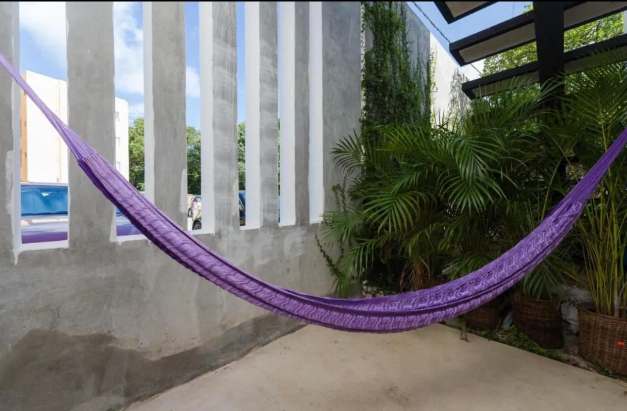 Stay tropical downtown studios