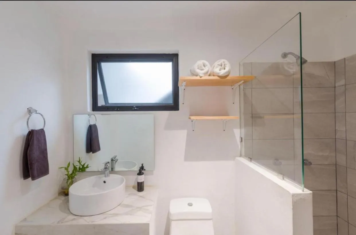 Stay tropical downtown studios