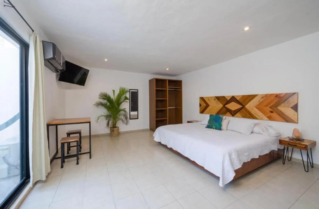 Stay tropical downtown studios