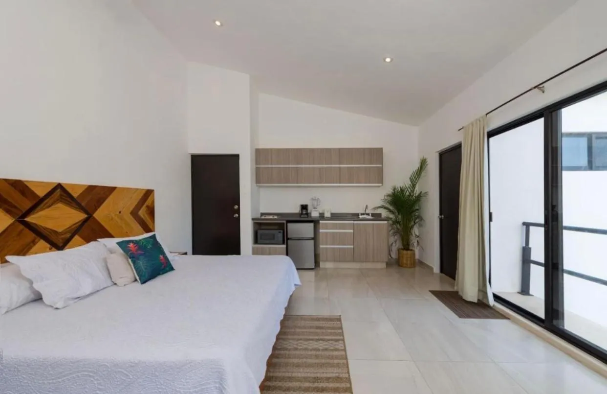 Stay tropical downtown studios