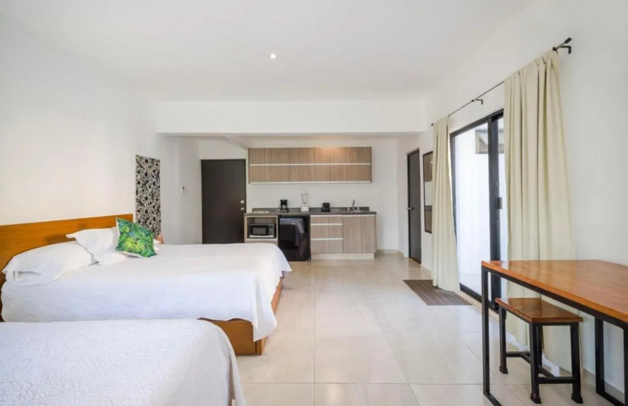 Stay tropical downtown studios