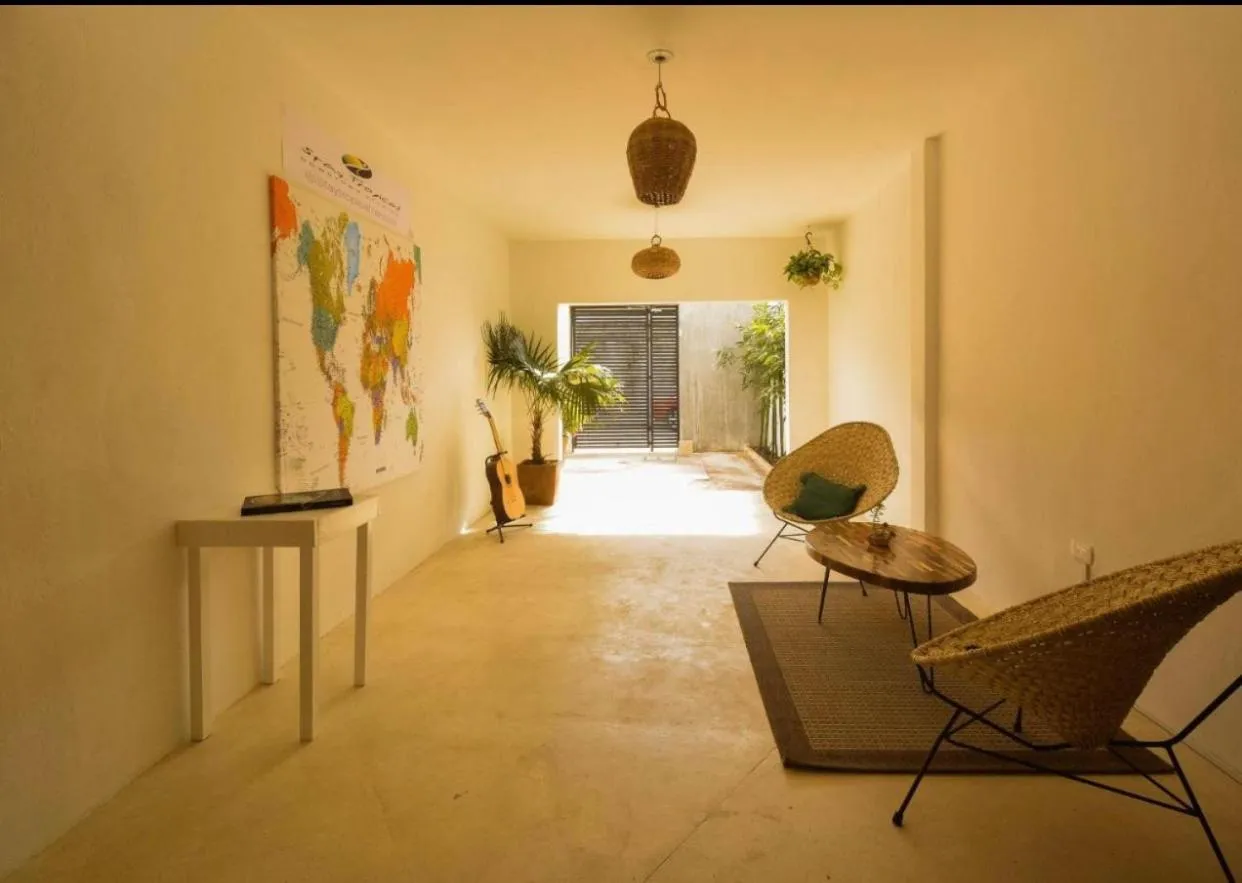 Stay tropical downtown studios