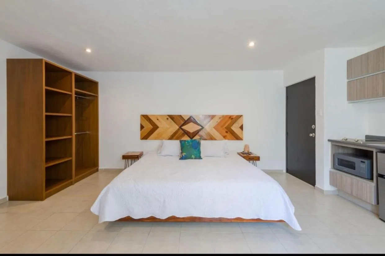 Stay tropical downtown studios