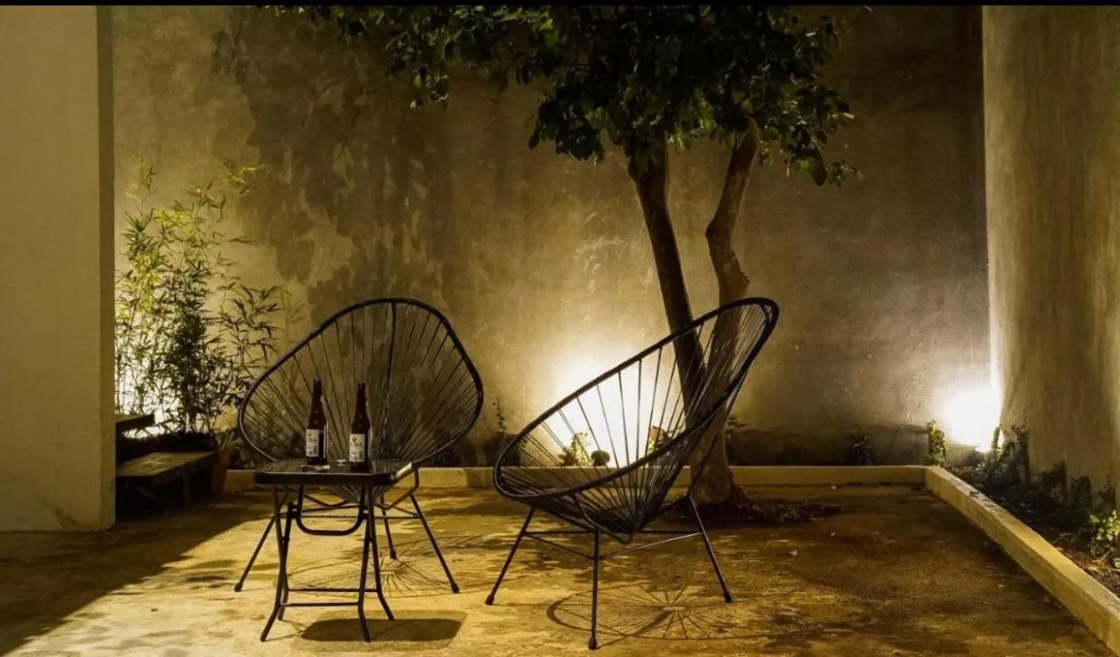 Stay tropical downtown studios