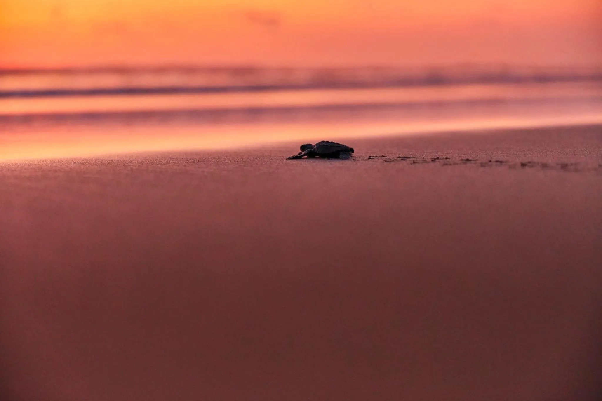 Property building in One Puerto Vallarta Aeropuerto