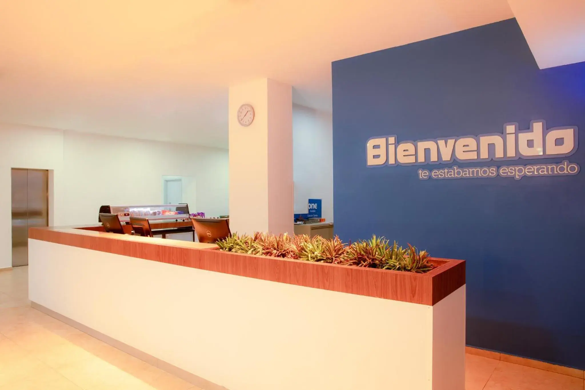 Lobby or reception in One Cancun Centro Lobby or reception in One Cancun Centro