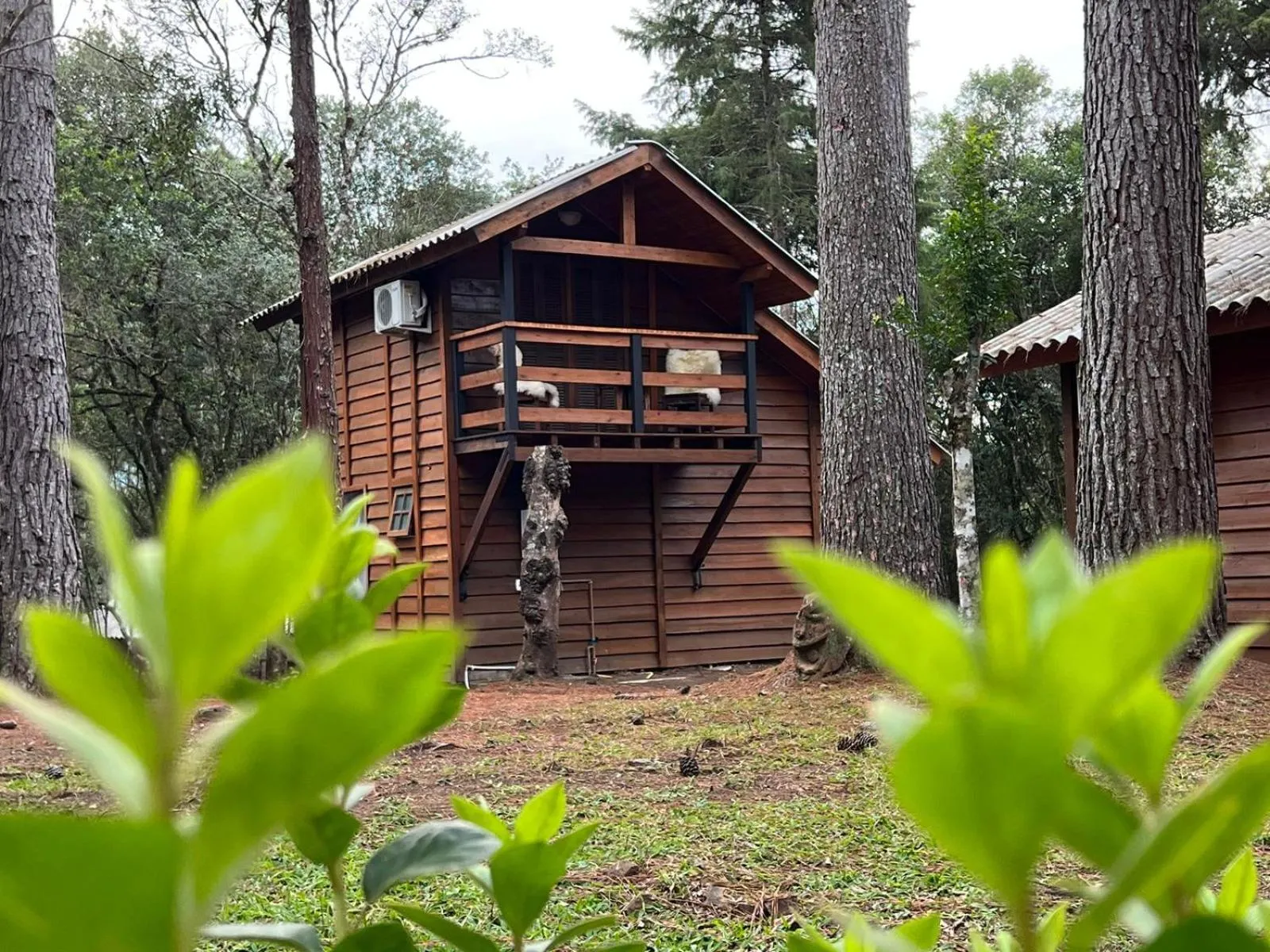 Natural landscape in Hotel Cabanas Glamour