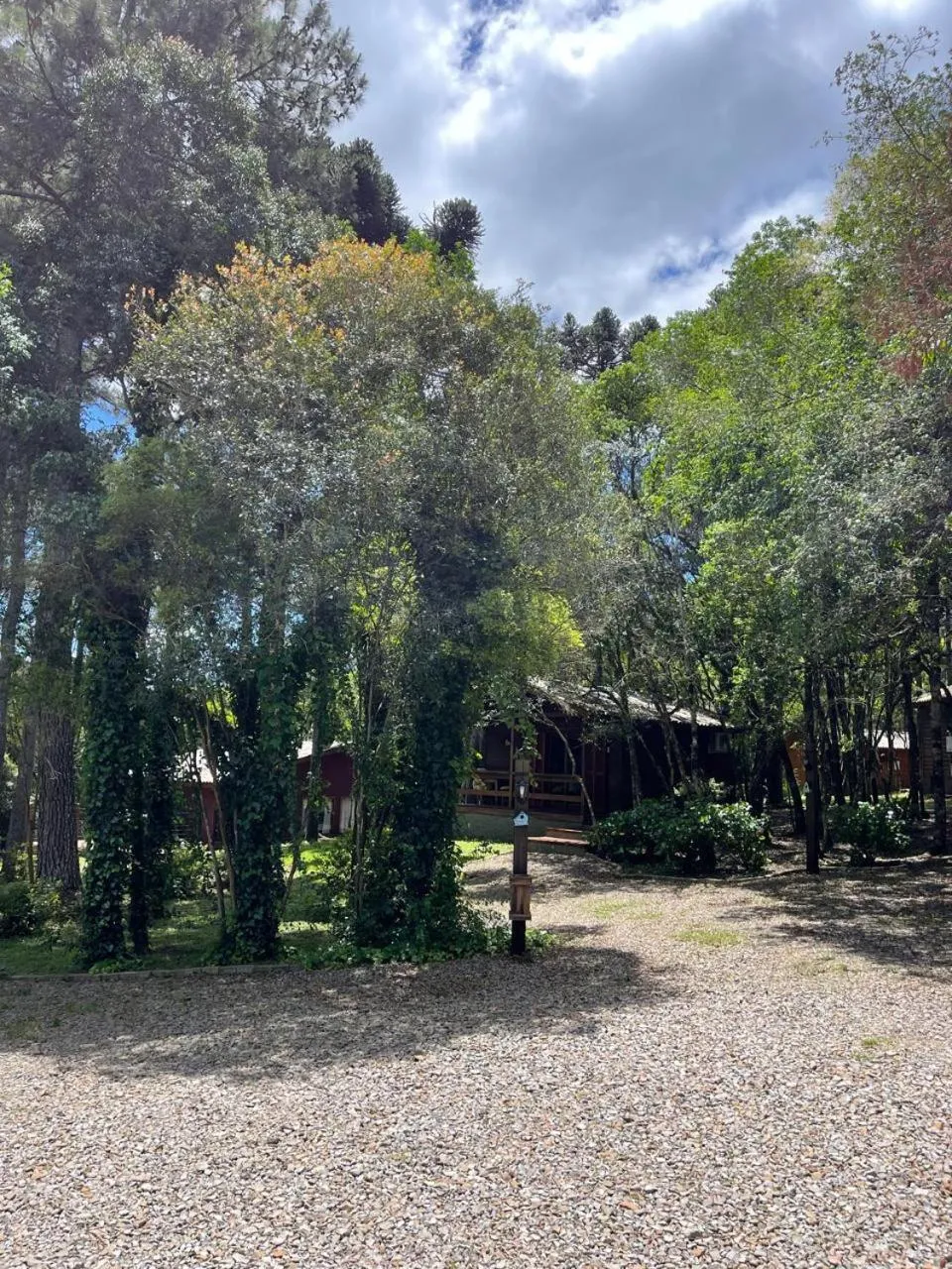 Natural landscape in Hotel Cabanas Glamour