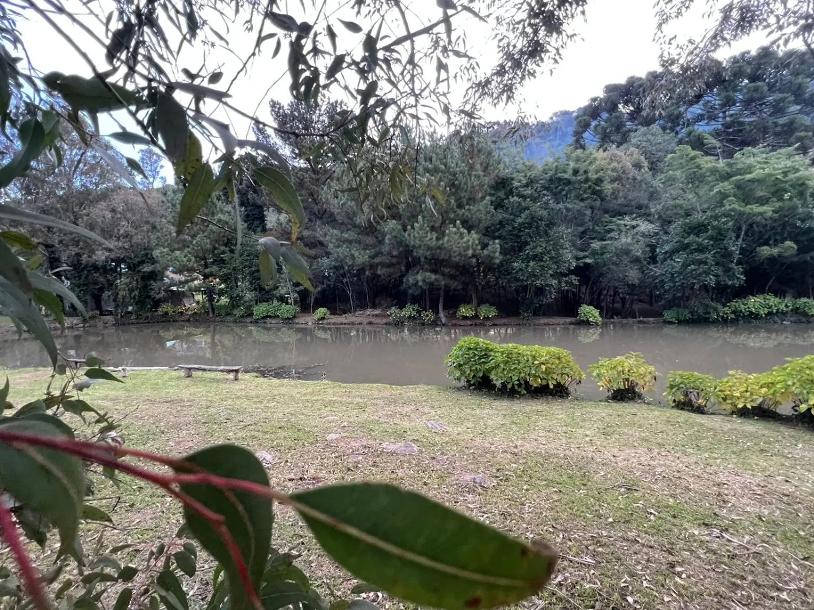 Natural landscape in Hotel Cabanas Glamour