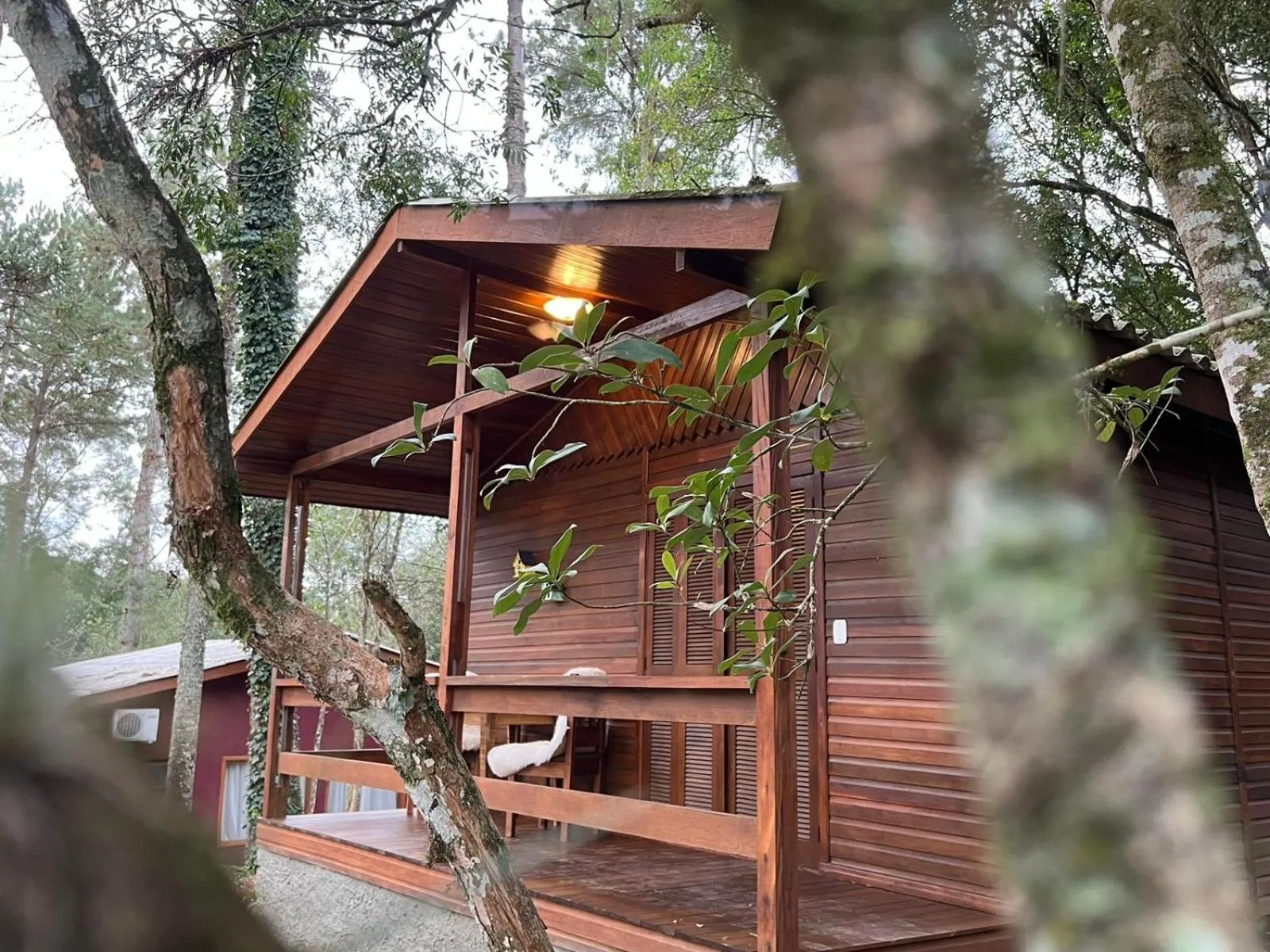 Natural landscape in Hotel Cabanas Glamour