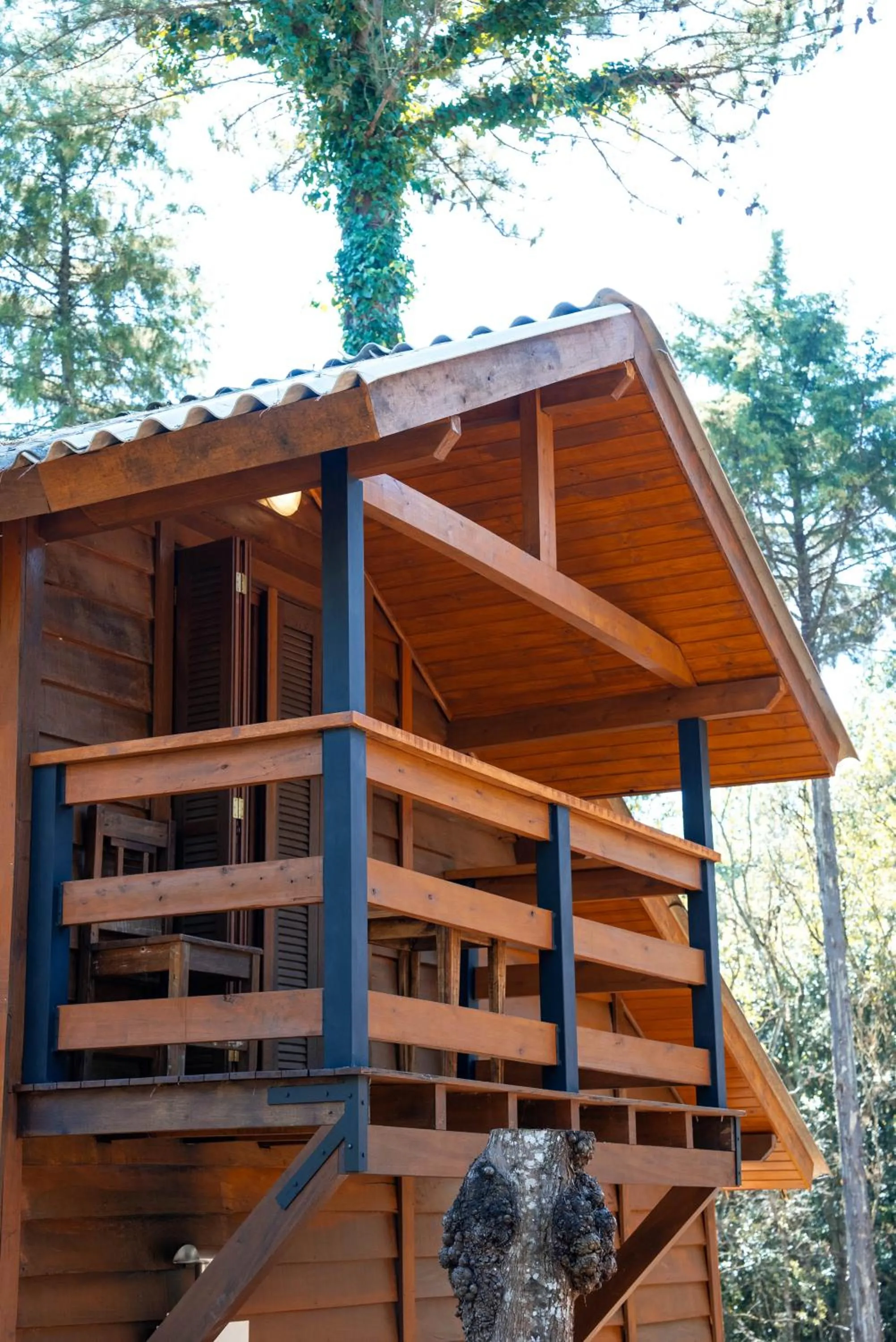 Natural landscape in Hotel Cabanas Glamour