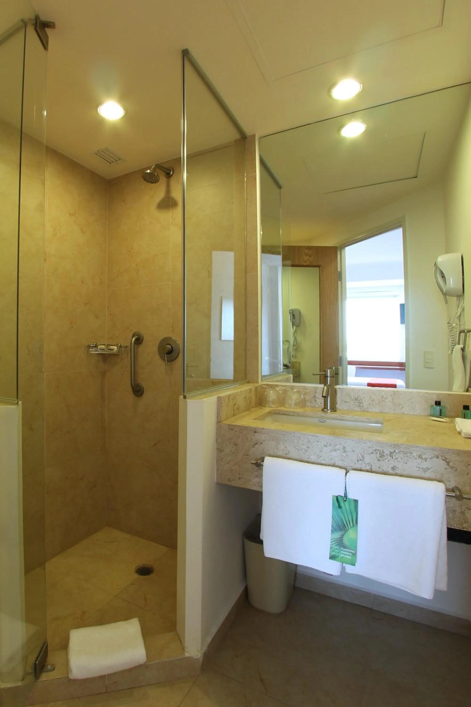 Bathroom in One Queretaro Centro Sur