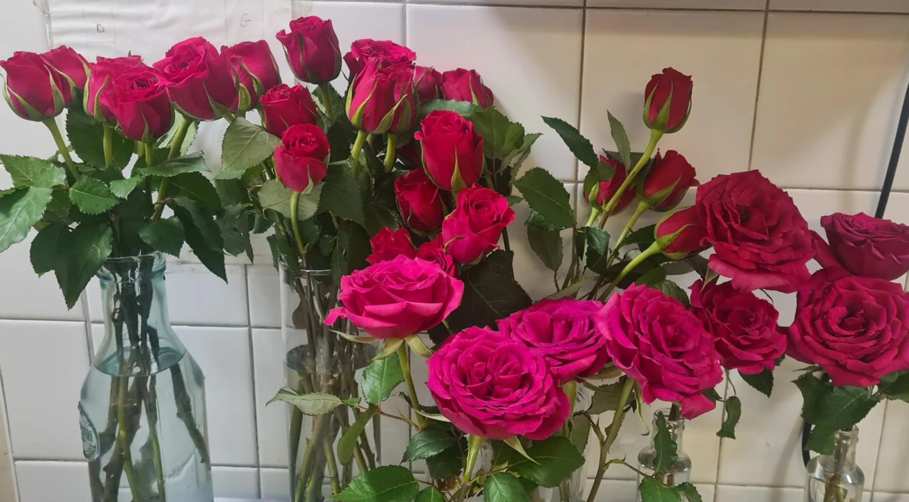 Decorative detail in London Lodge Hotel