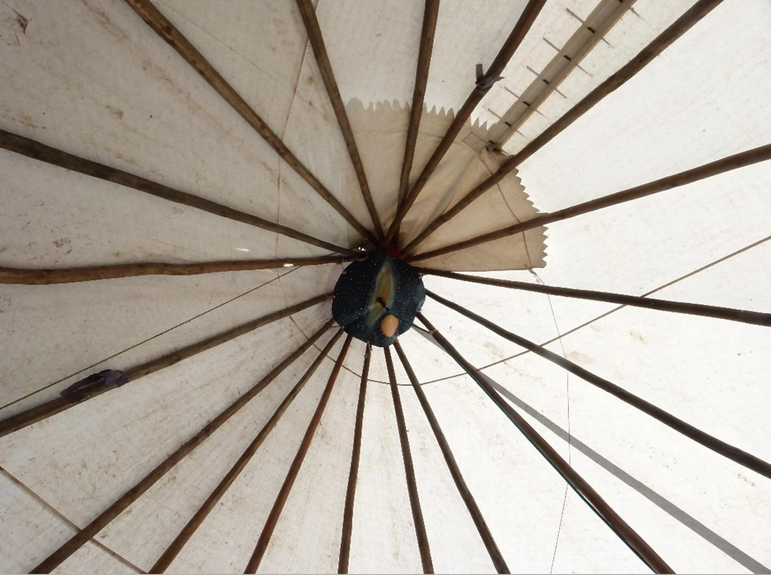 Bathroom in Wacky Stays - unique farm-stay glamping rentals, FREE animal feeding tours