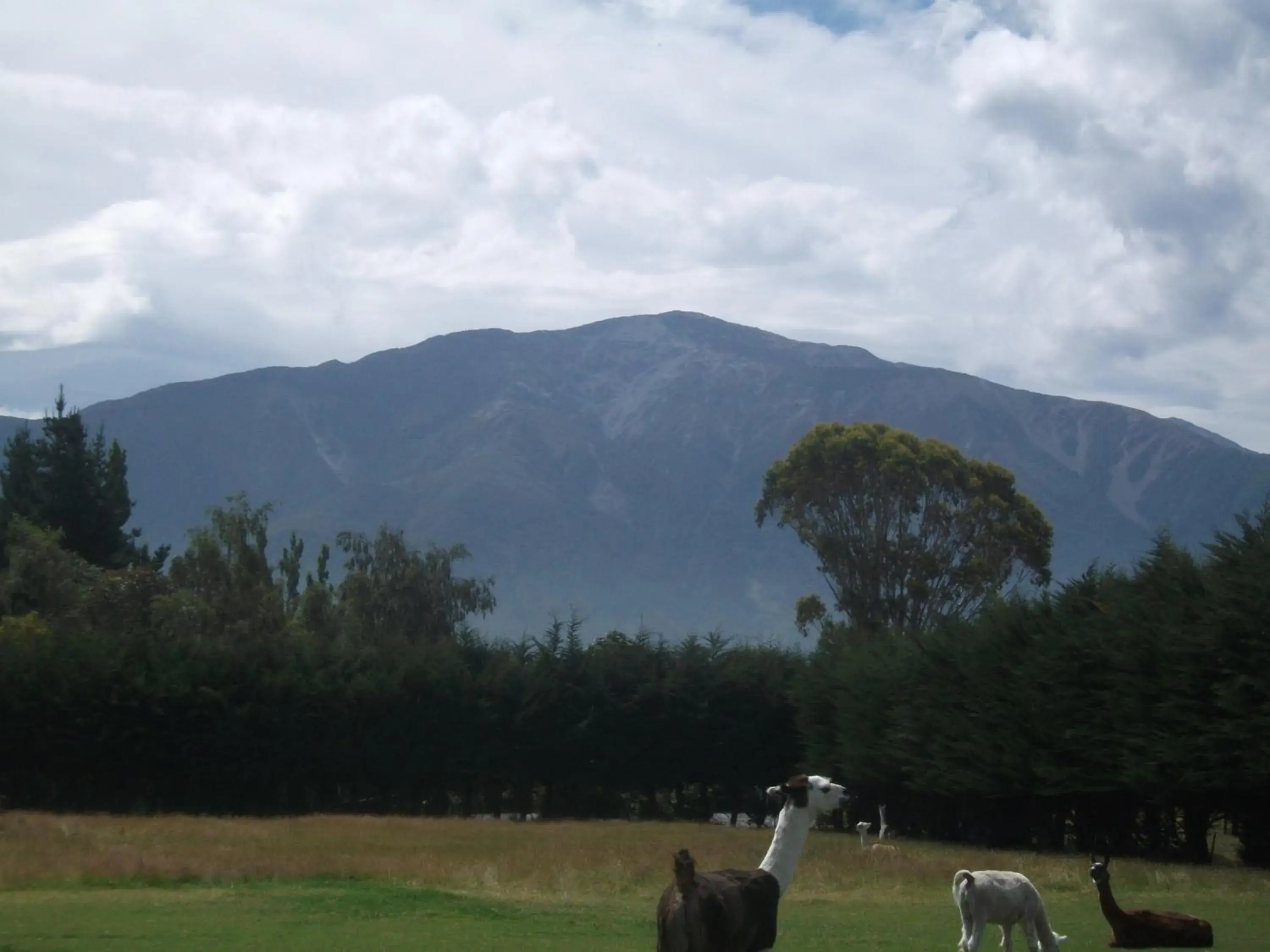 Mountain view in Wacky Stays - unique farm-stay glamping rentals, FREE animal feeding tours Mountain view in Wacky Stays - unique farm-stay glamping rentals, FREE animal feeding tours