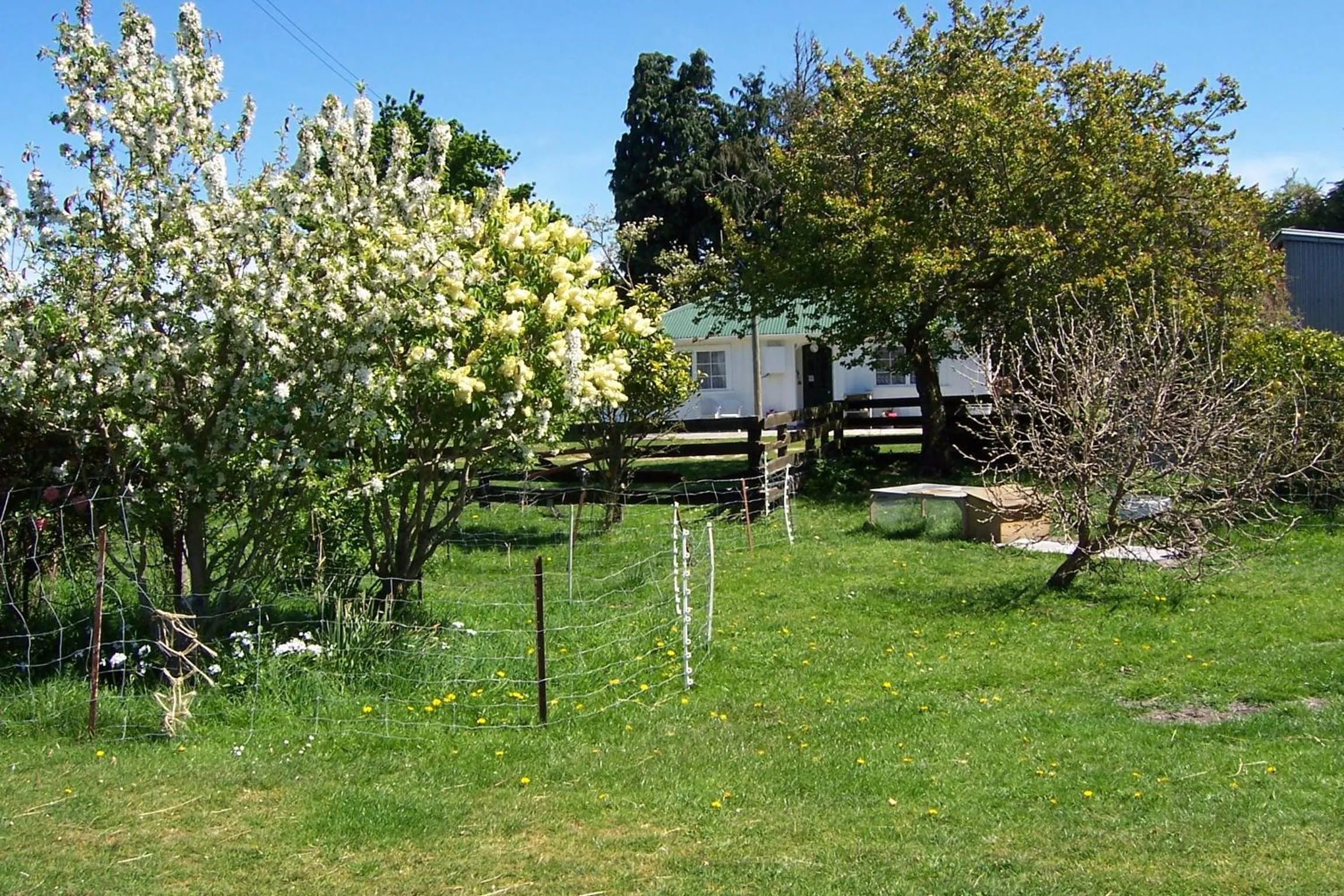 Garden view in Wacky Stays - unique farm-stay glamping rentals, FREE animal feeding tours