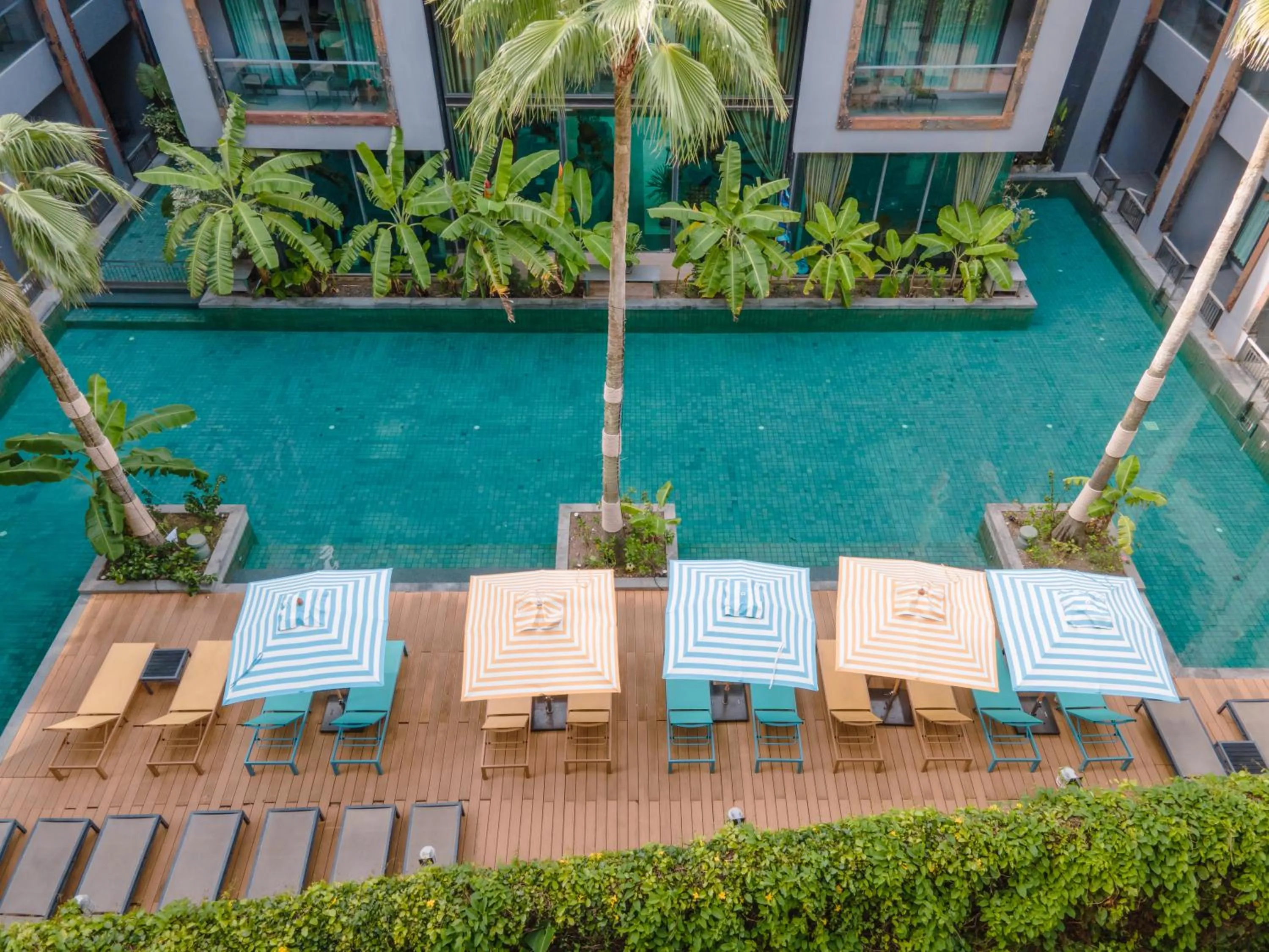 View (from property/room) in Sugar Marina Hotel-SURF-Kata Beach