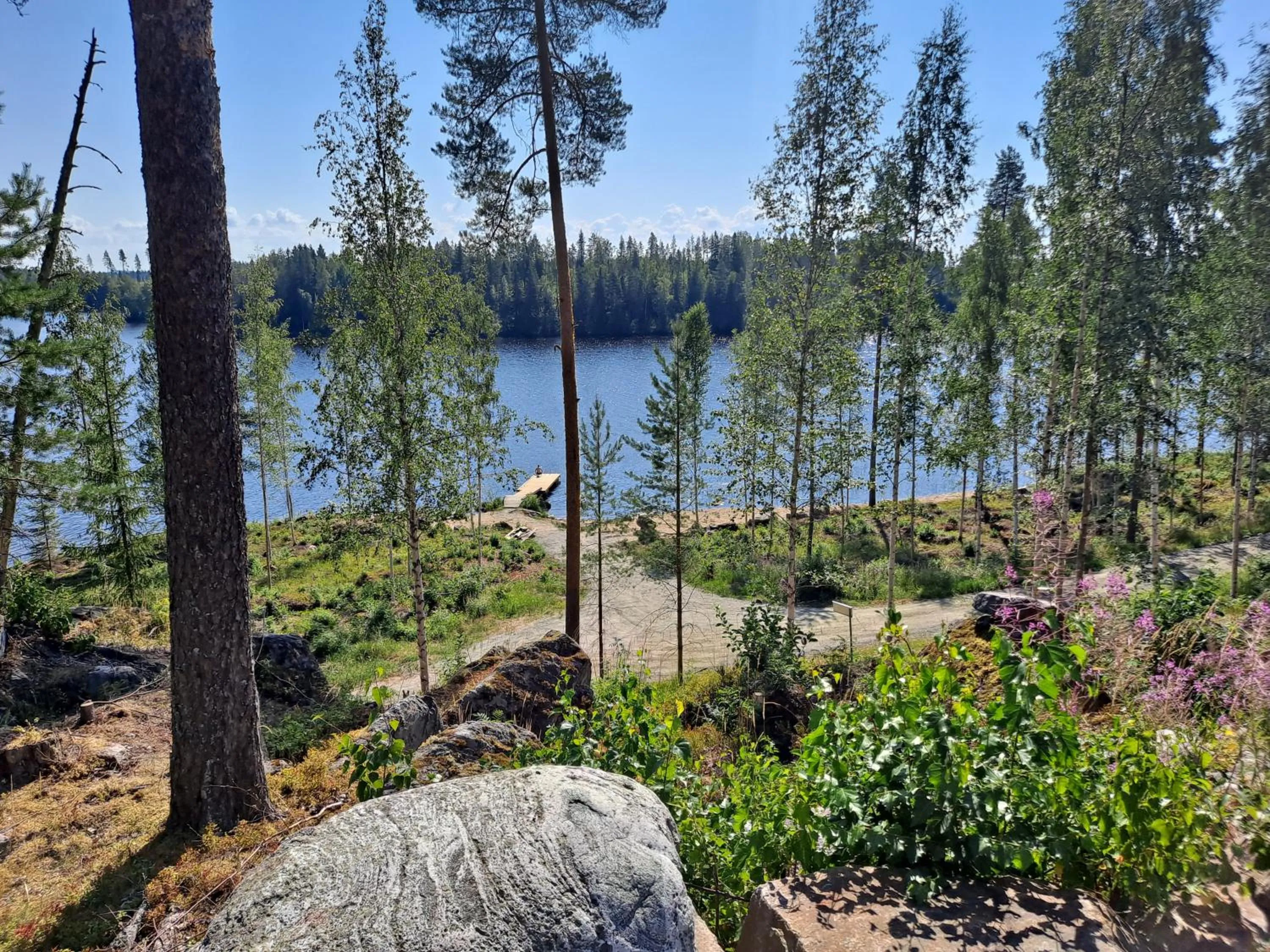 Bird's eye view in Tahko Hills