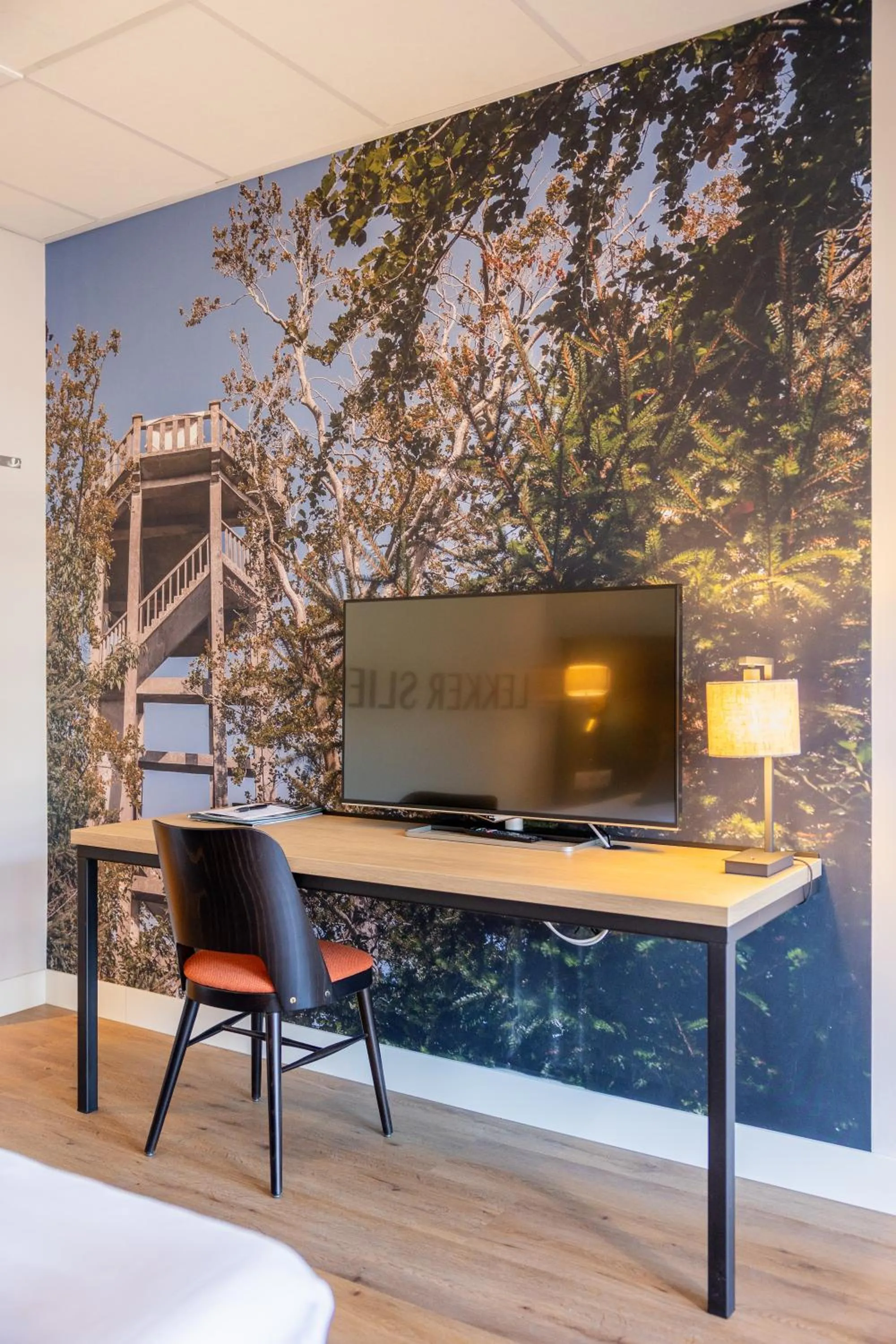 TV and multimedia, Bed in Parkhotel Tjaarda