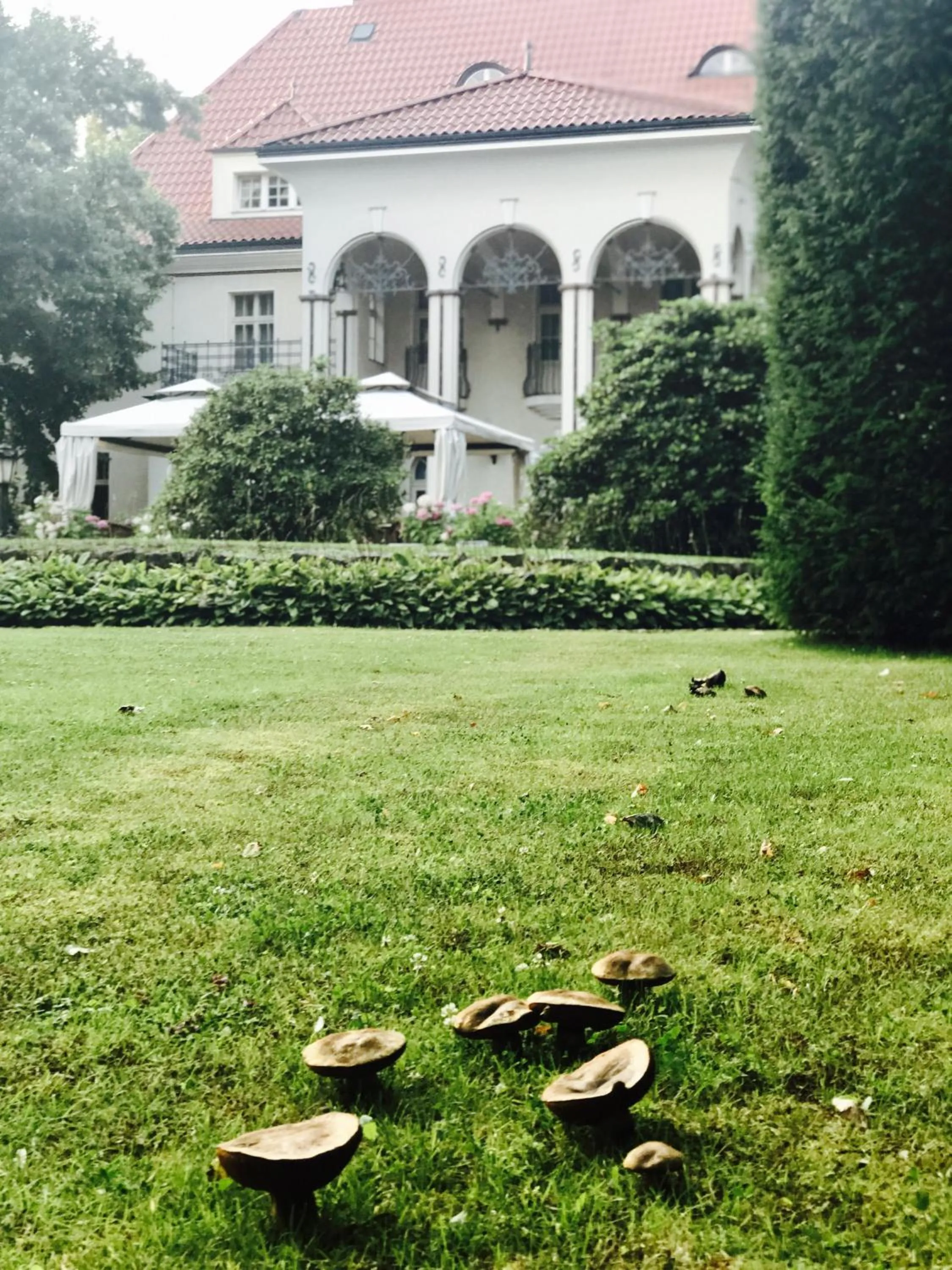 Natural landscape in Rezydencja Willa Park & Restauracja