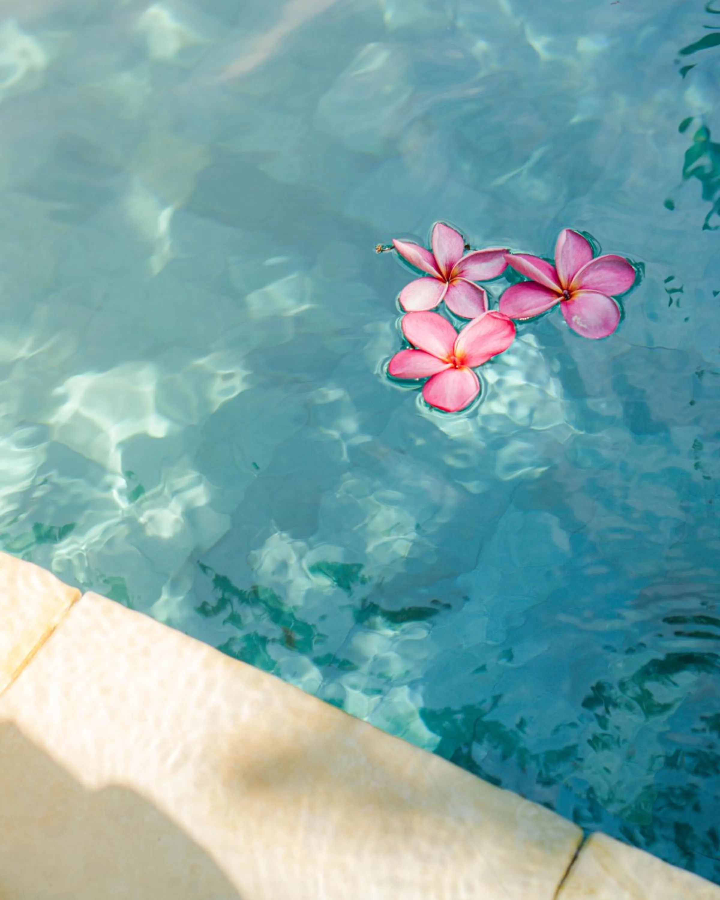 Swimming pool in Hola Seminyak