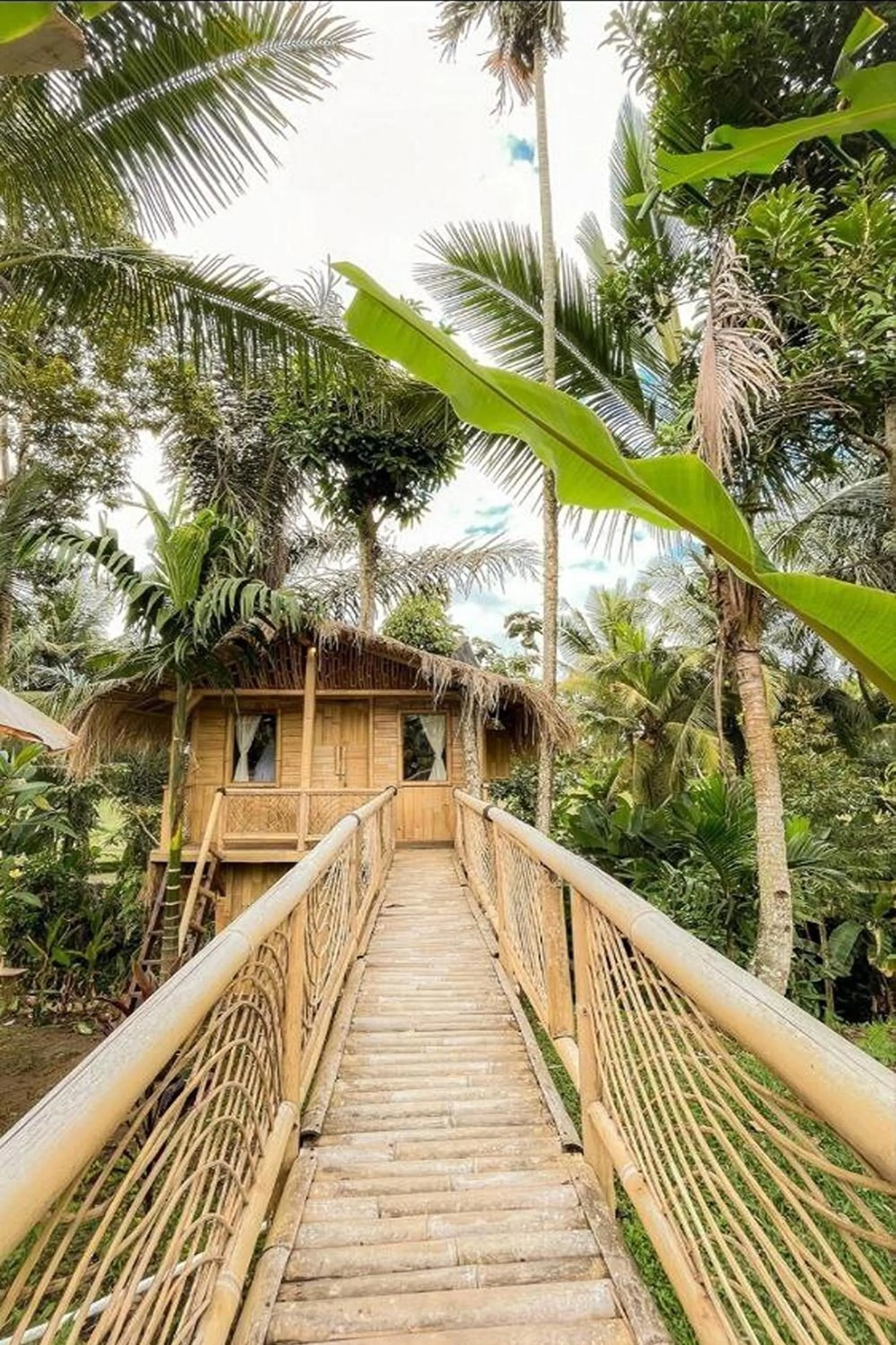 Garden view in Tiny ECO Bamboo Ubud