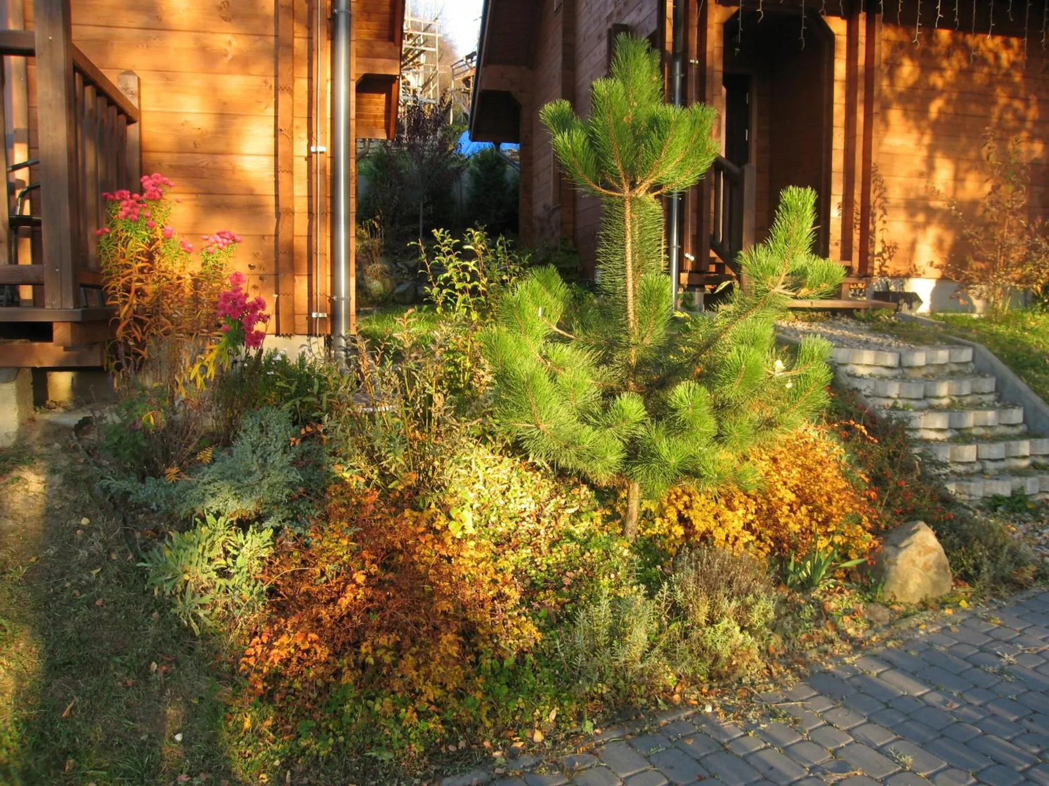 Spring in Chatki Qdłatki