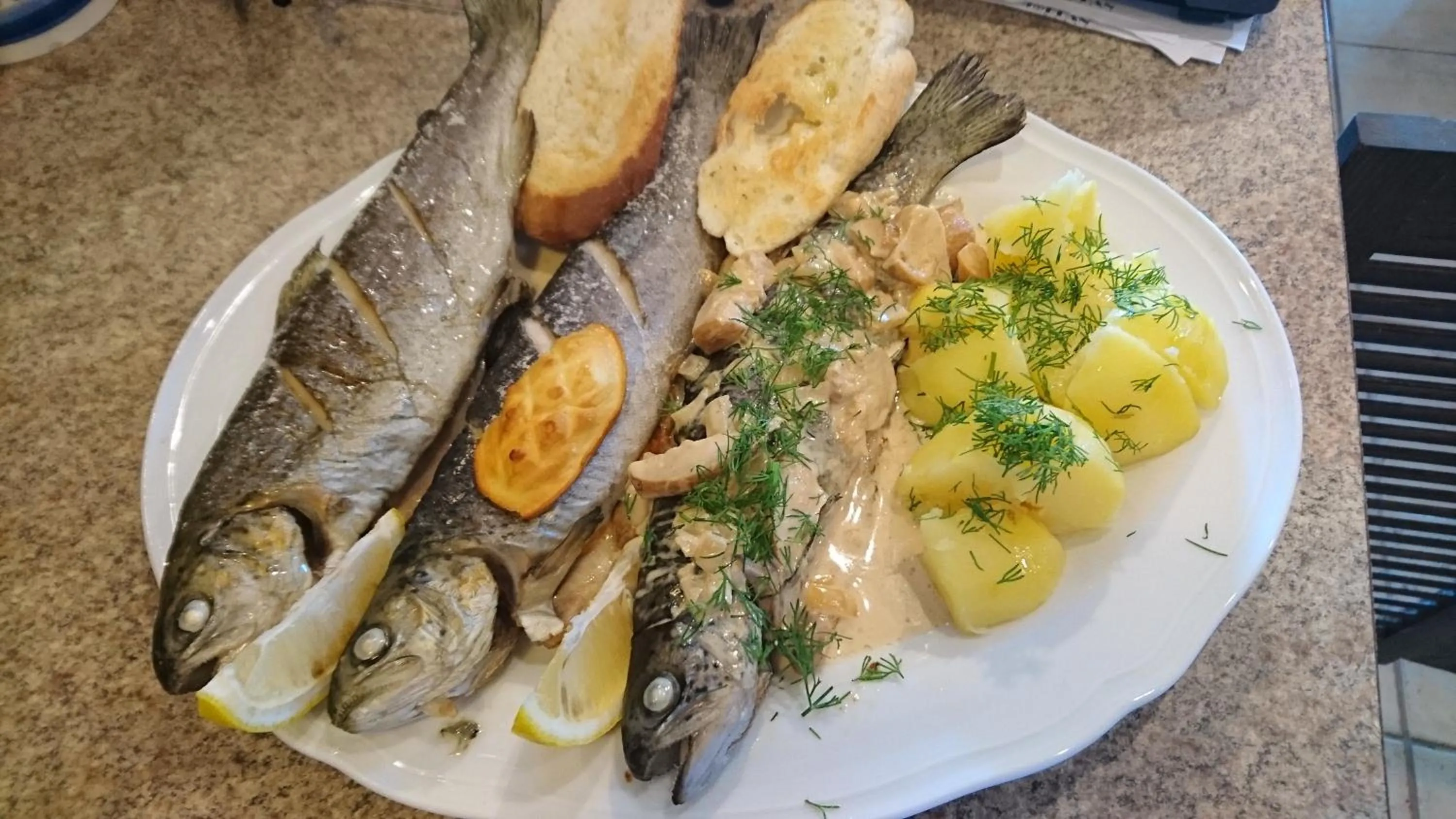 Restaurant/places to eat in Chatki Qdłatki