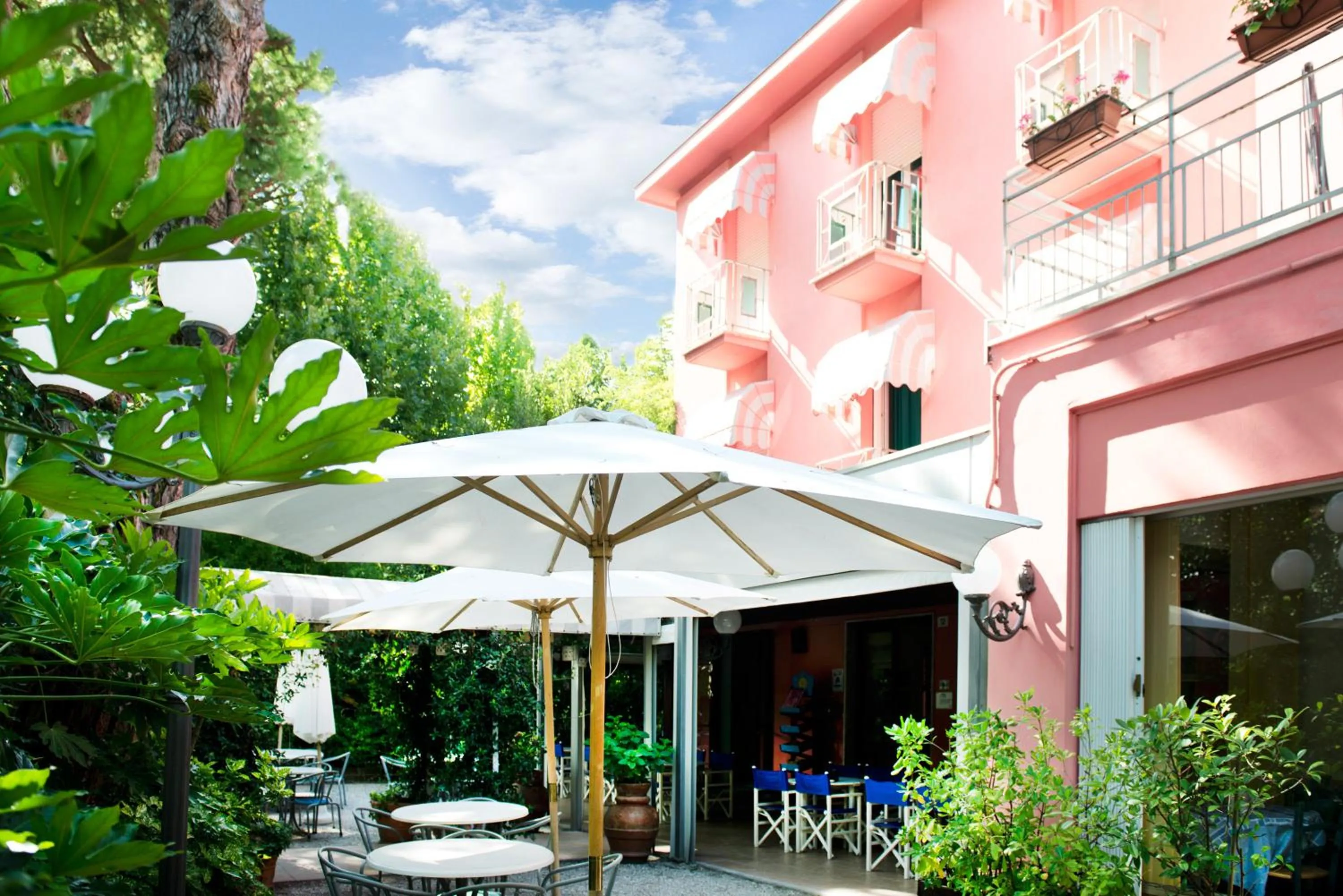 Garden view in Hotel Villa Rosa