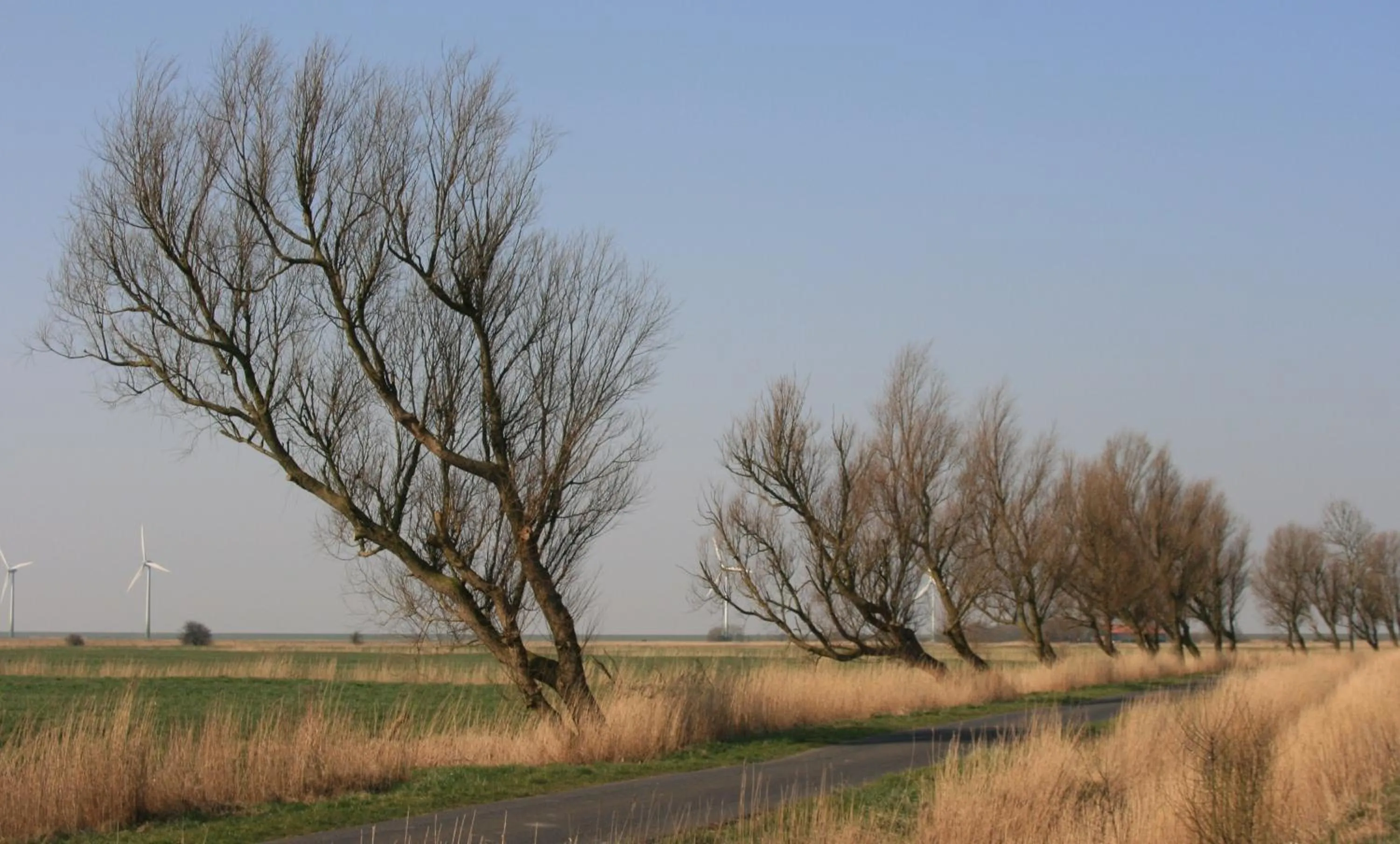 Area and facilities in Landhaus Krabbe von Greetsiel