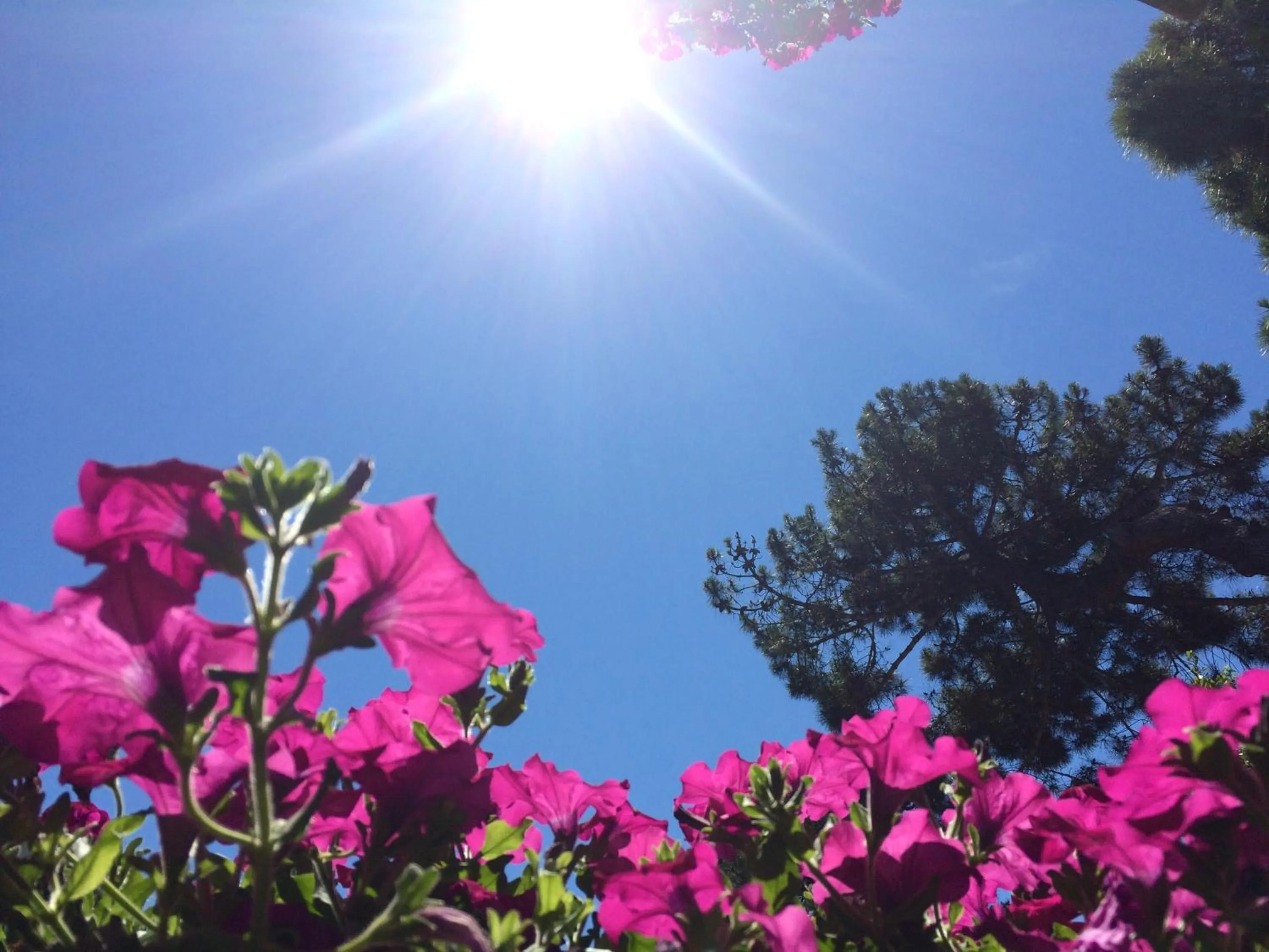 Summer in Residence Ola