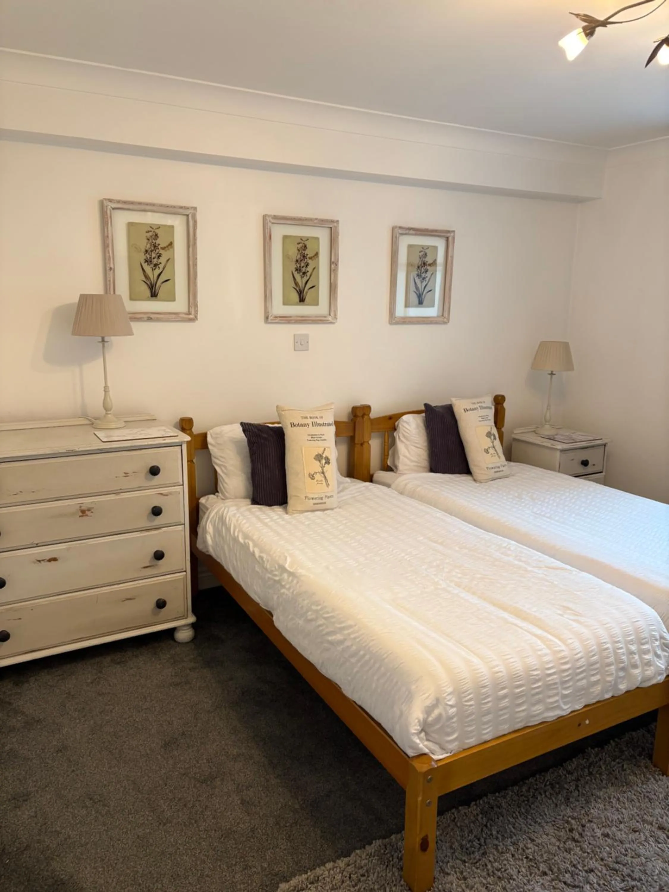Bed in The Albany Apartments