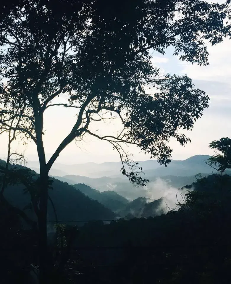 Mountain view in Lannawild Mountain view in Lannawild