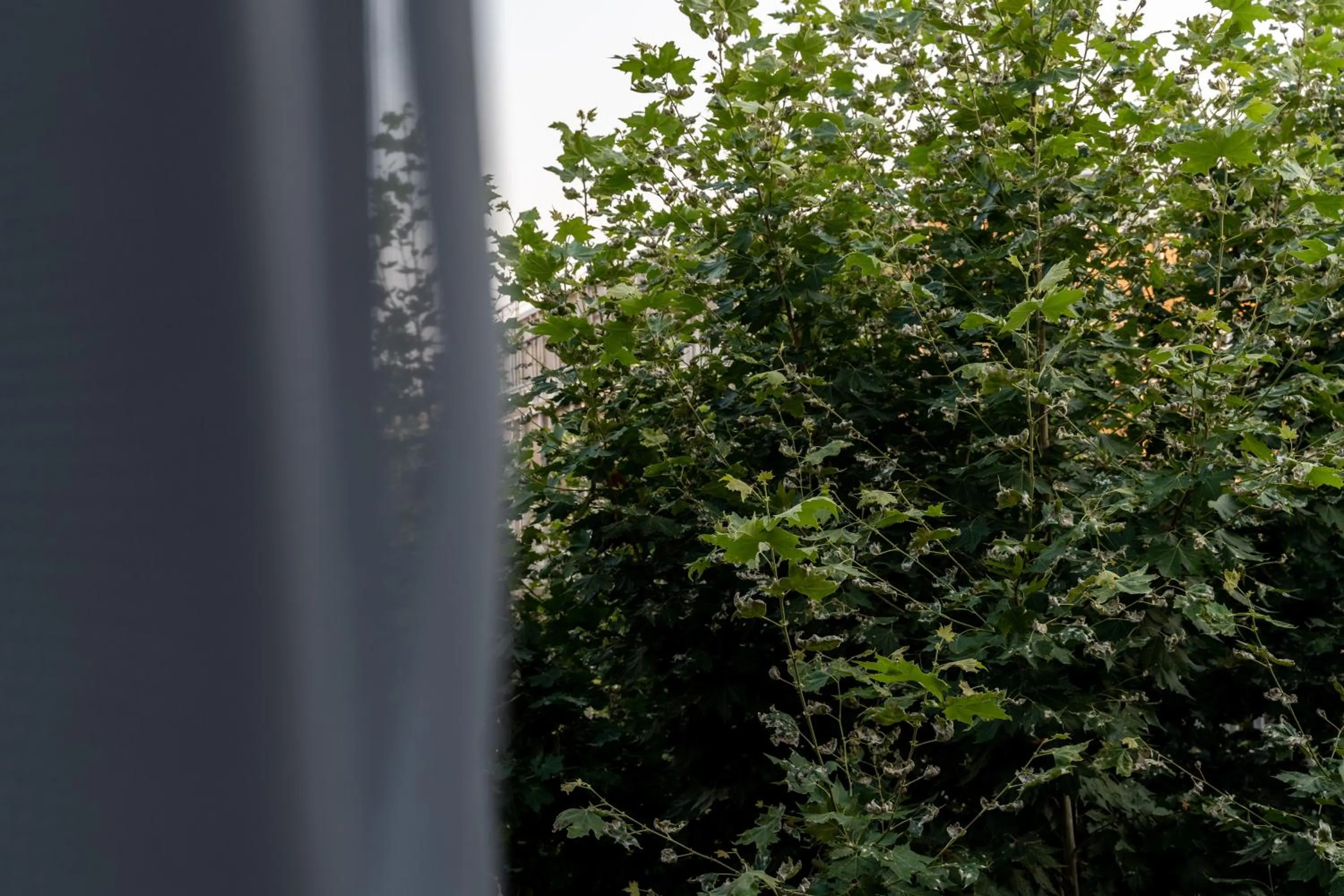 Frinichou 18 by Athens Concept Residences