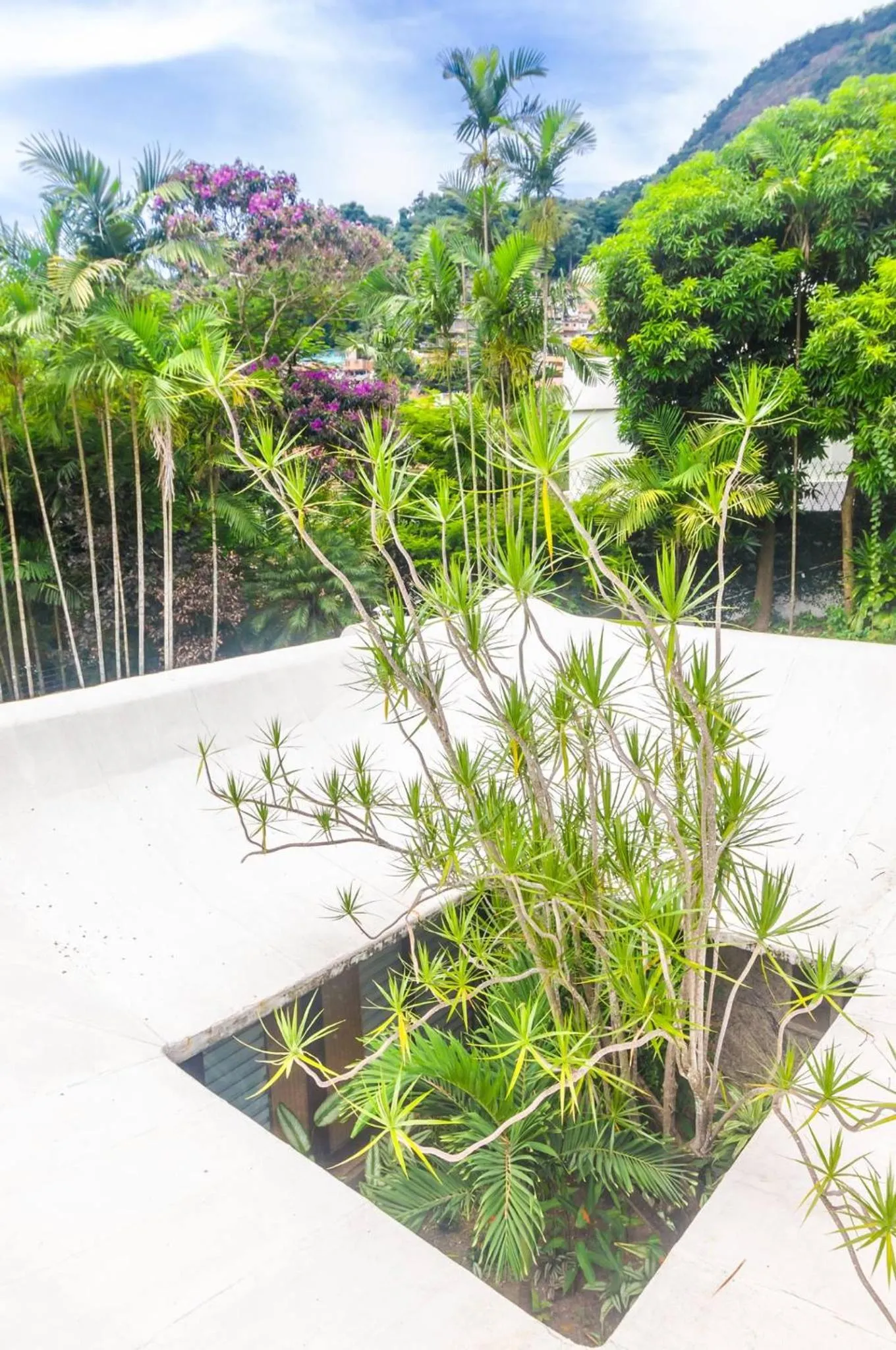 Garden in Les Jardins de Rio Boutique Hotel