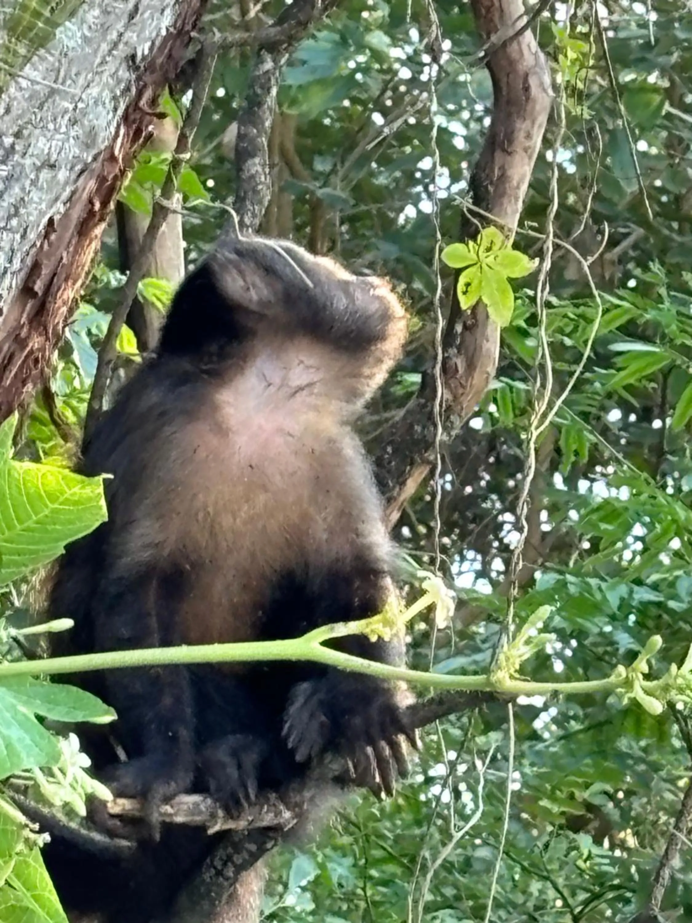 Day in Les Jardins de Rio Boutique Hotel