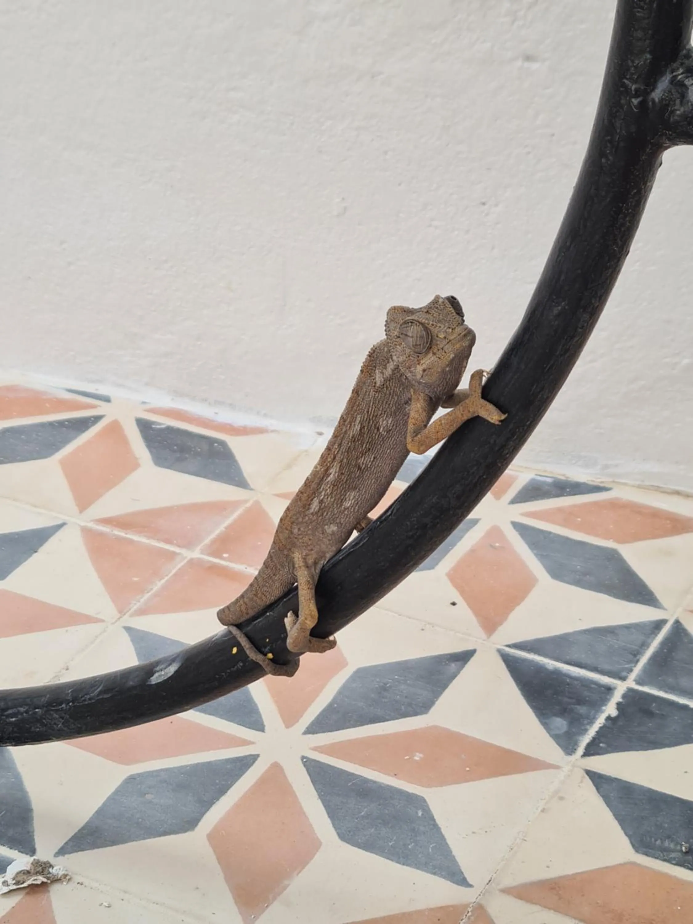 Day in La Maison des Vagues