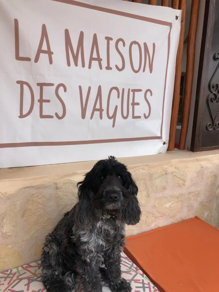 Staff in La Maison des Vagues