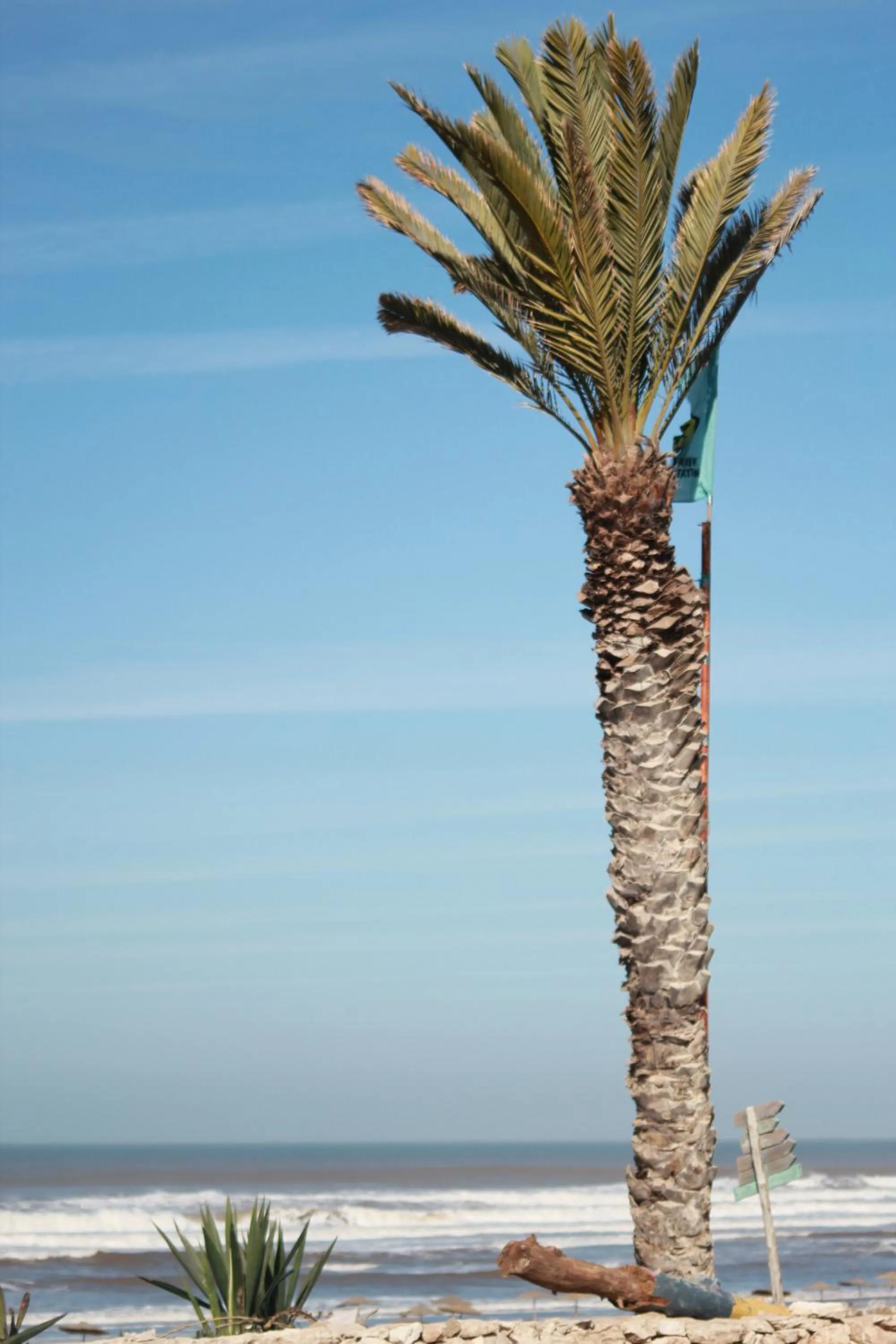 Beach in La Maison des Vagues