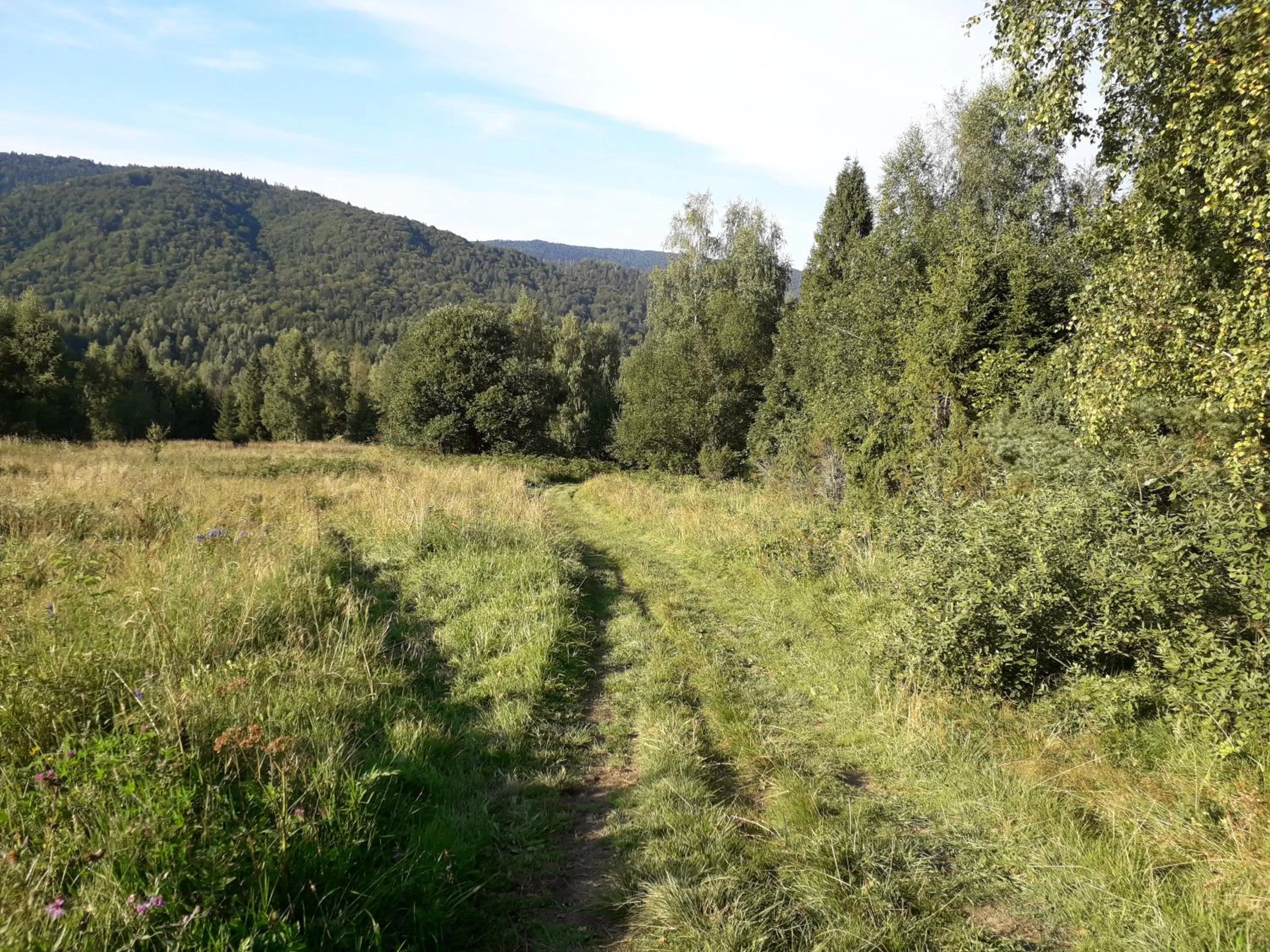 Neighbourhood in Leśne Berdo Przysłup