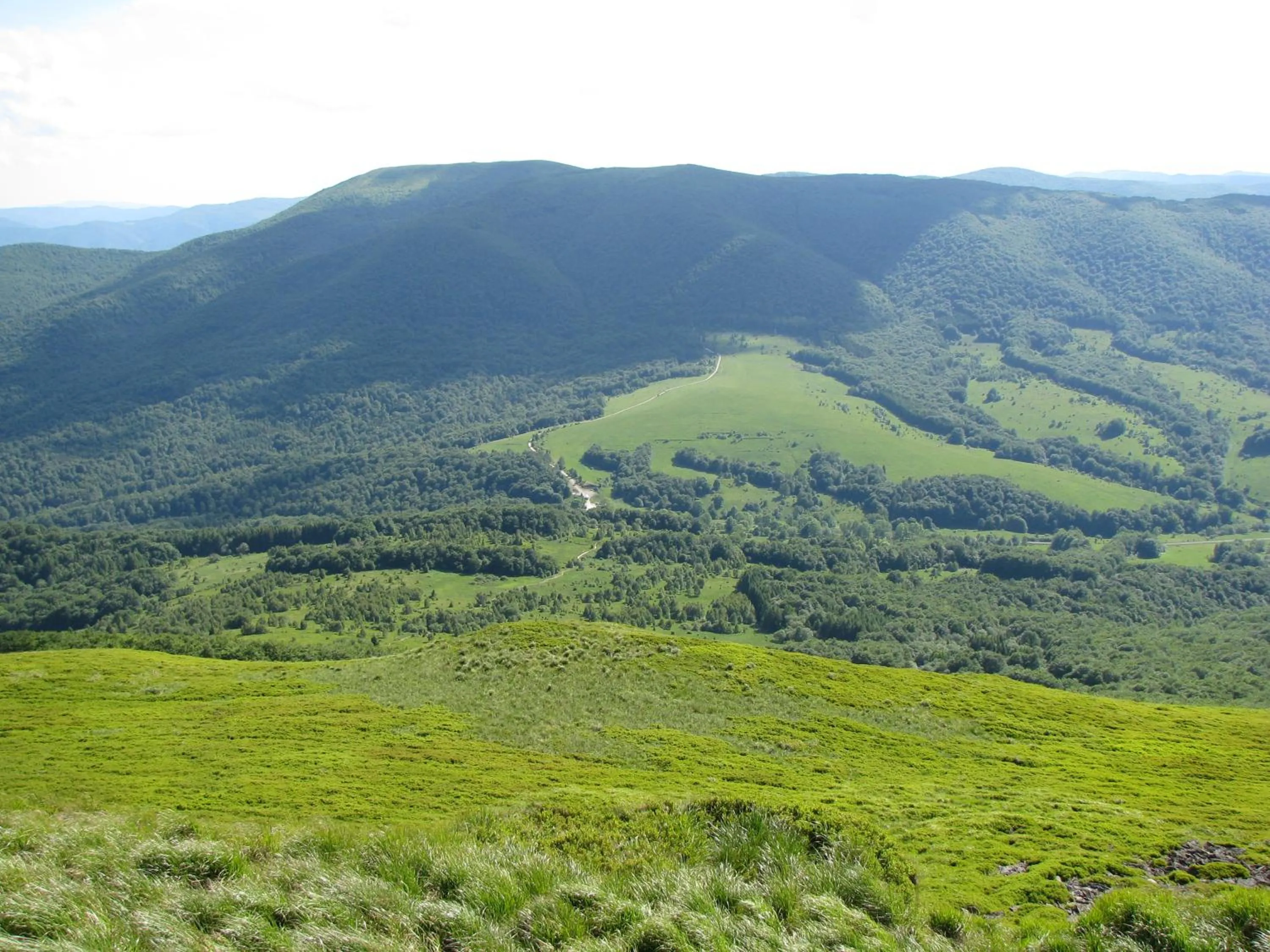 Natural landscape in Leśne Berdo Przysłup