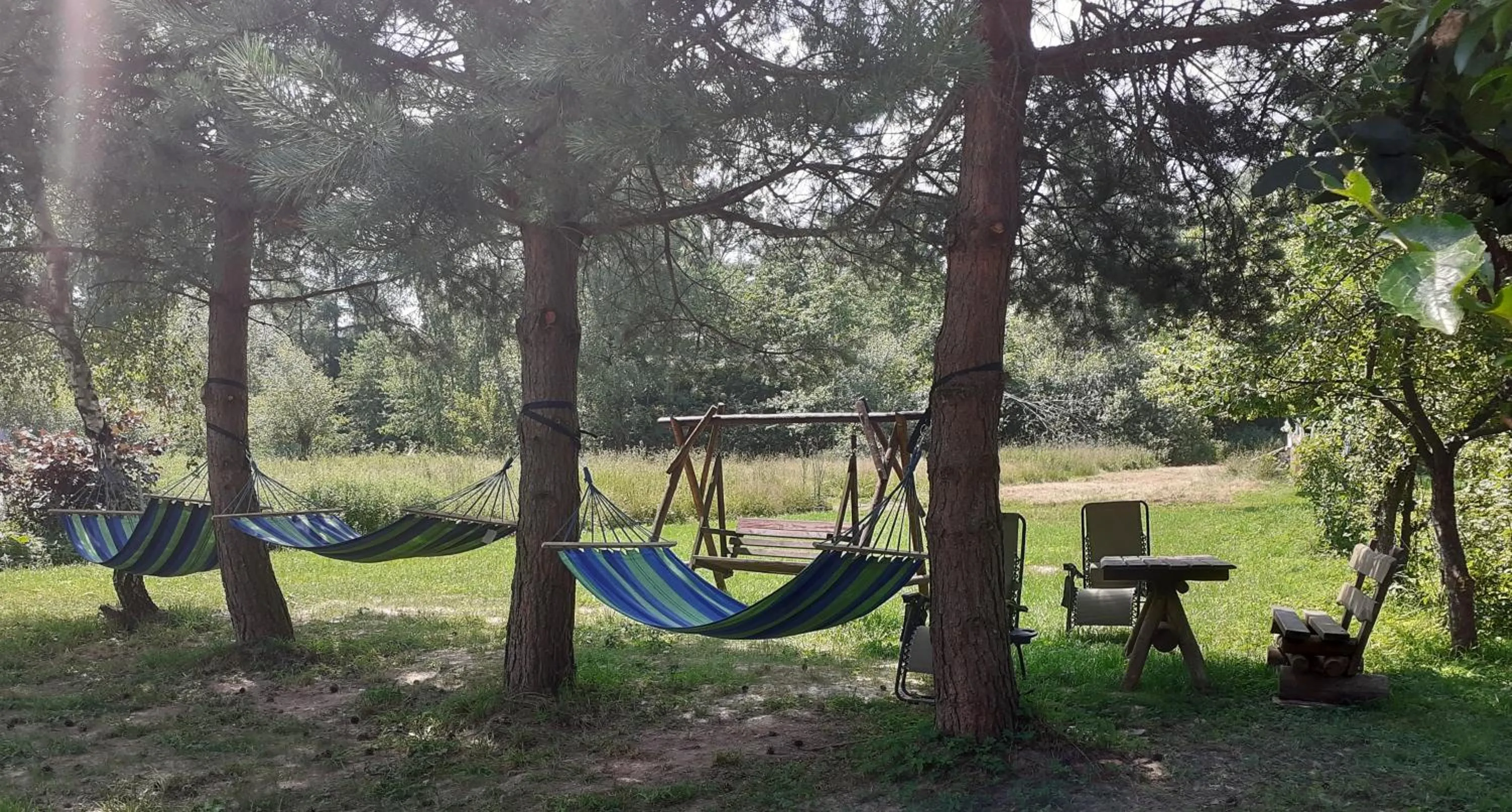 Garden in Leśne Berdo Przysłup