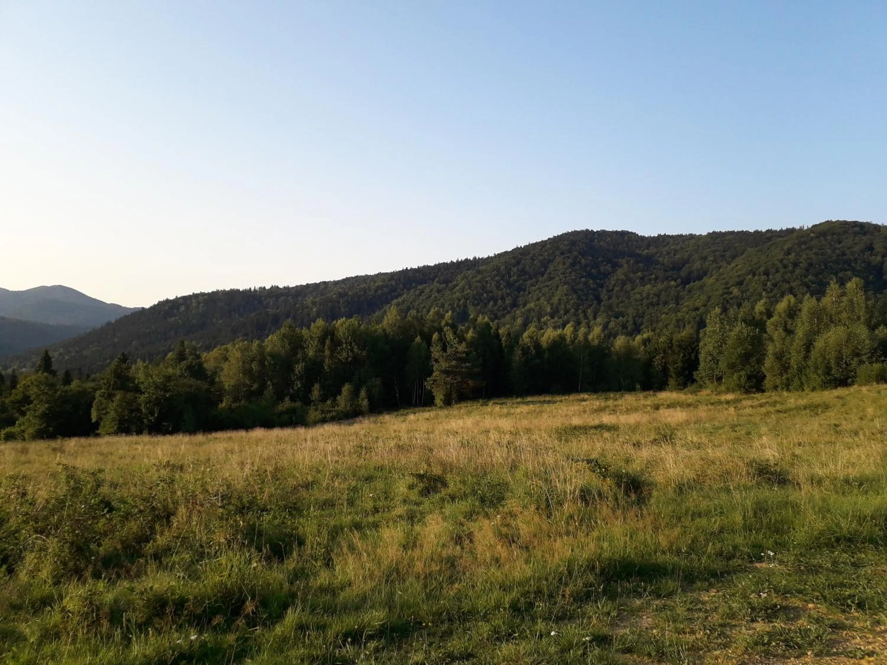Neighbourhood in Leśne Berdo Przysłup