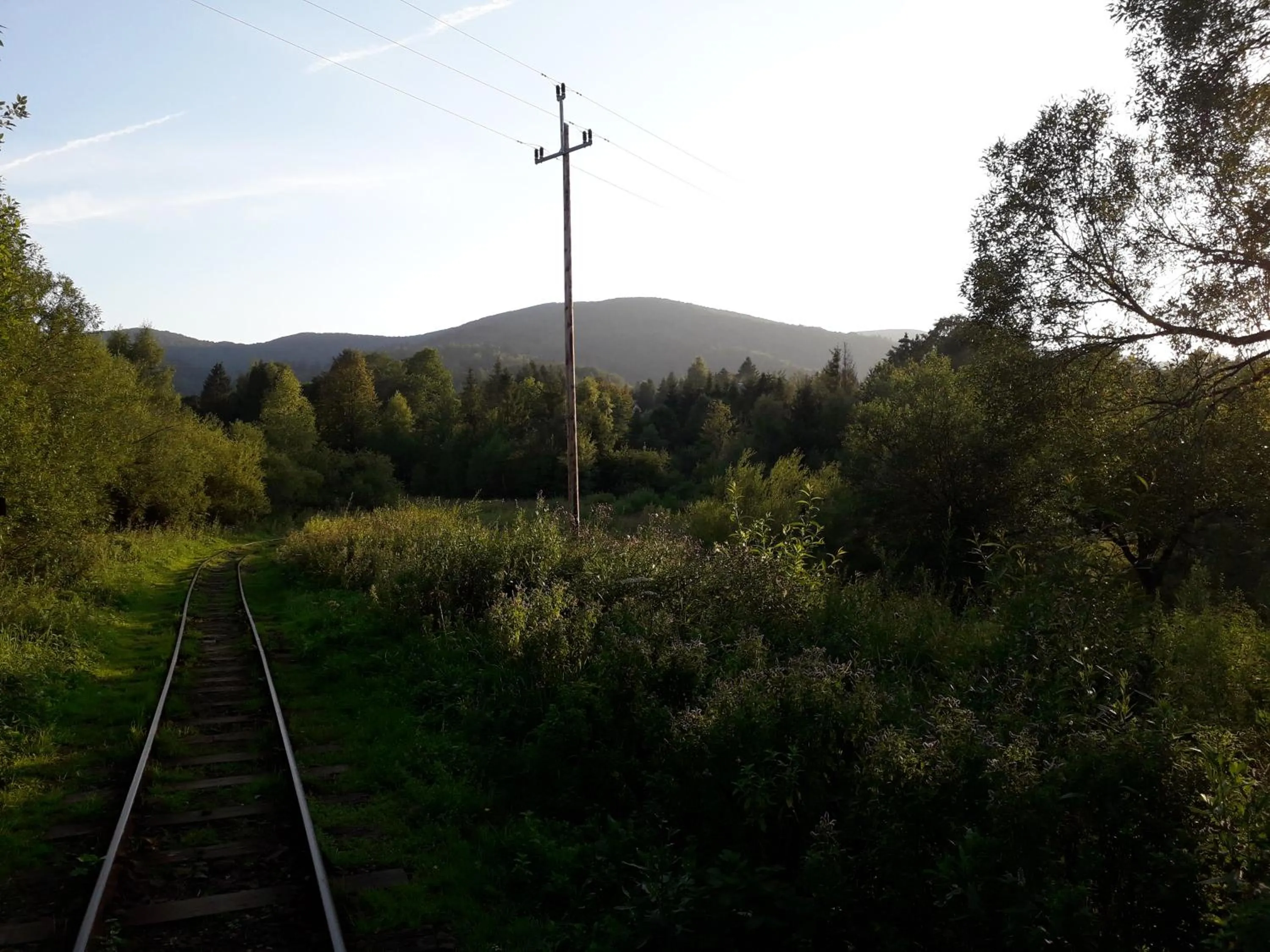 Natural landscape in Leśne Berdo Przysłup