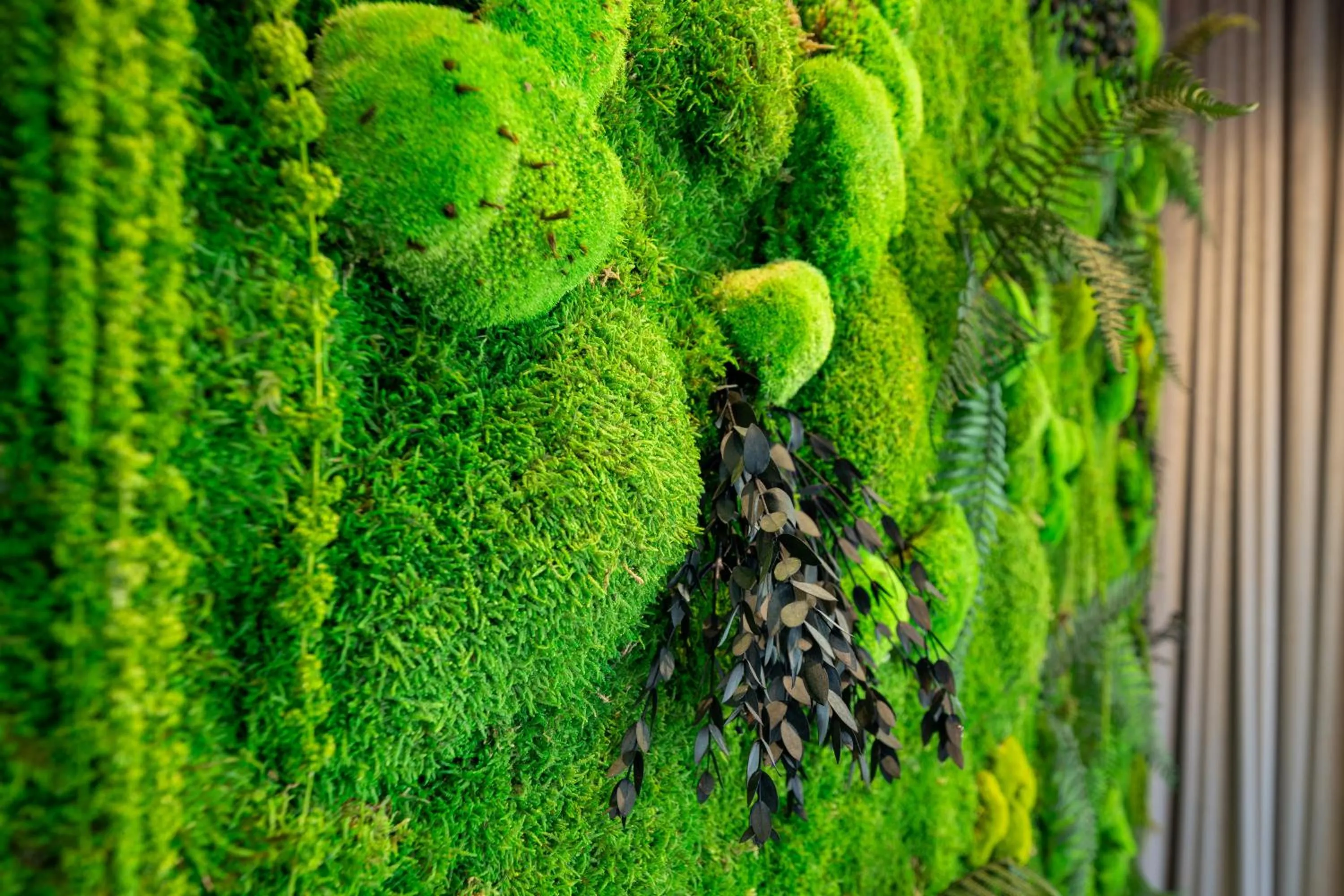 Decorative detail in Somerset Schönbrunn Vienna