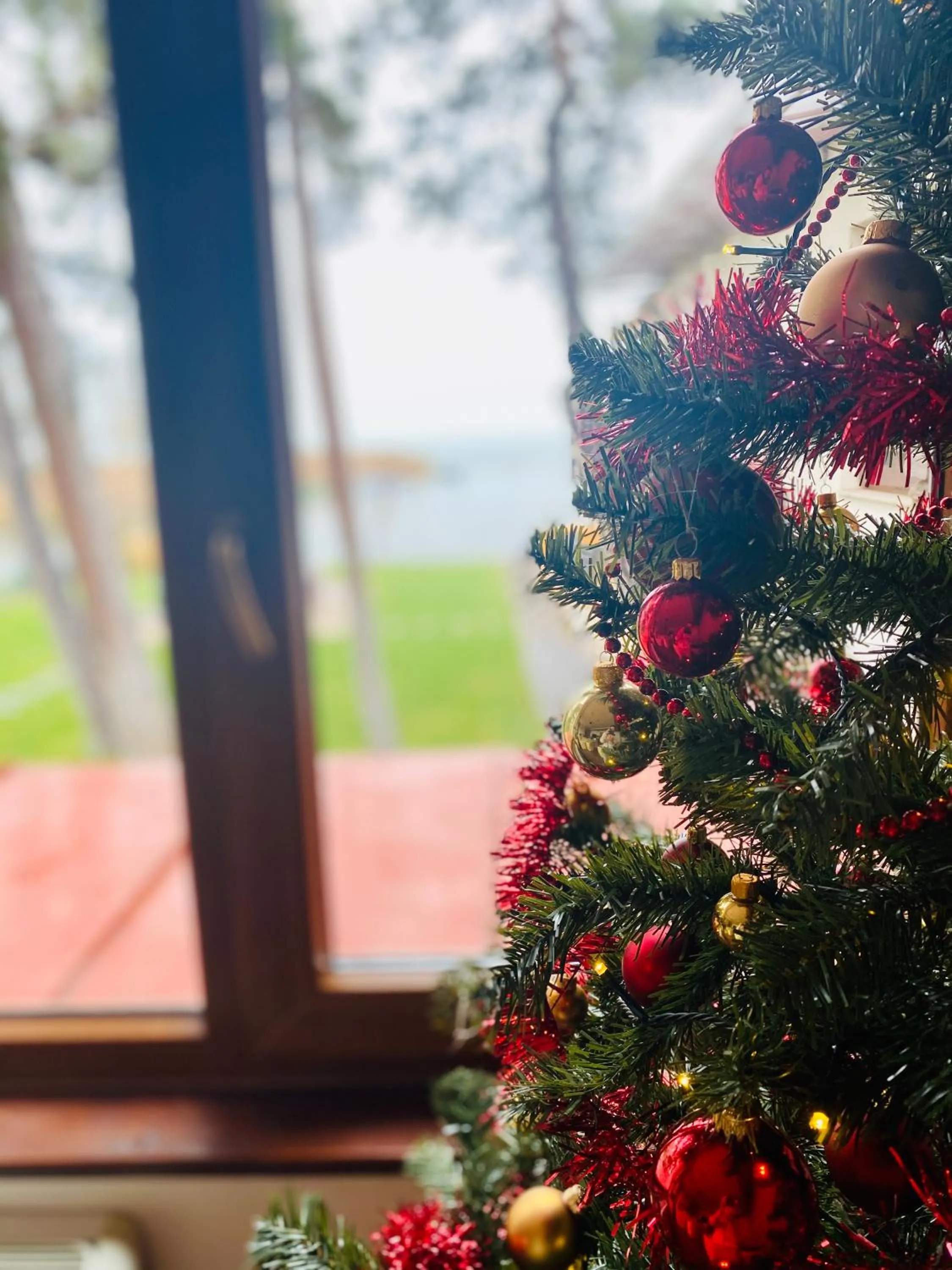 Communal lounge/ TV room in Royal Mediterran